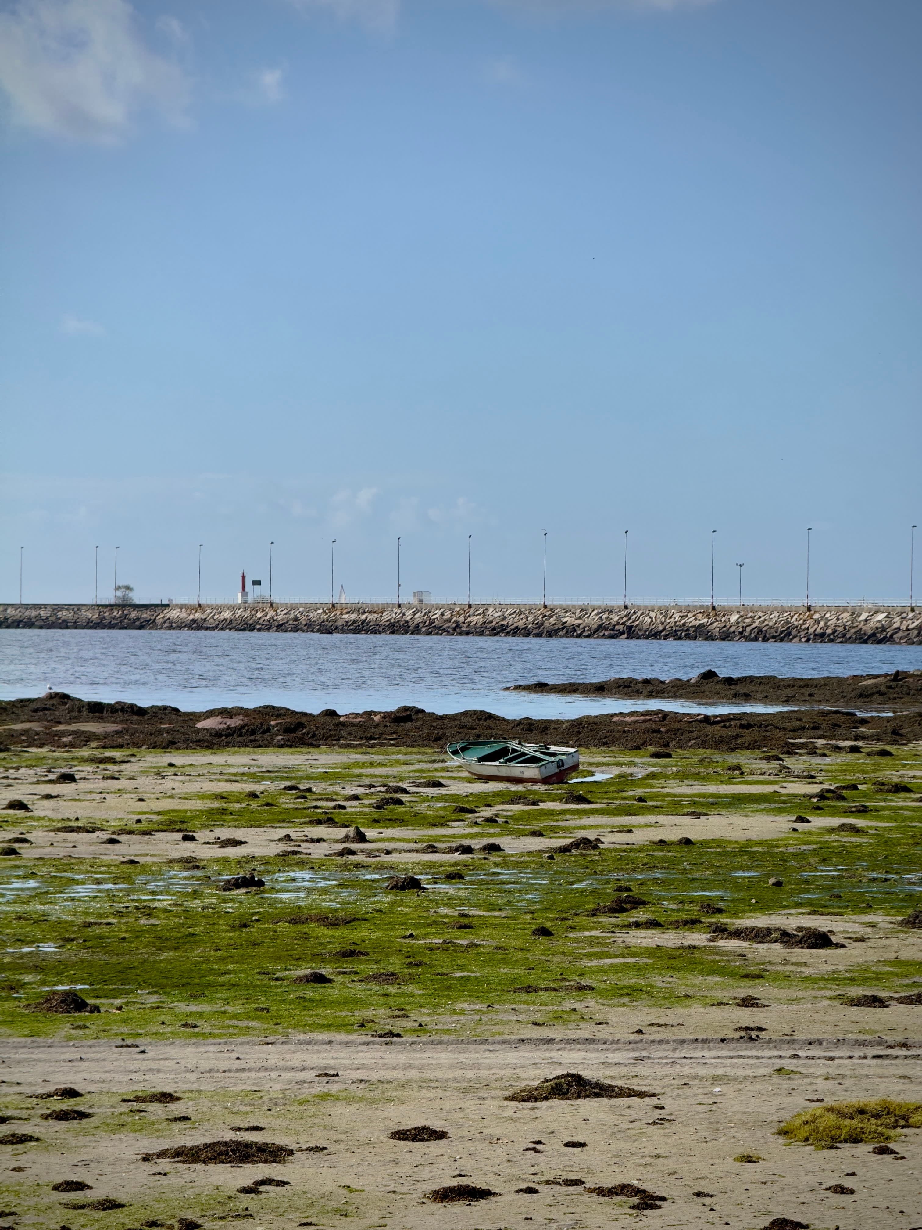 A Food and Wine Lover’s Guide to Galicia and Rías Baixas curated by Kelsey Parry