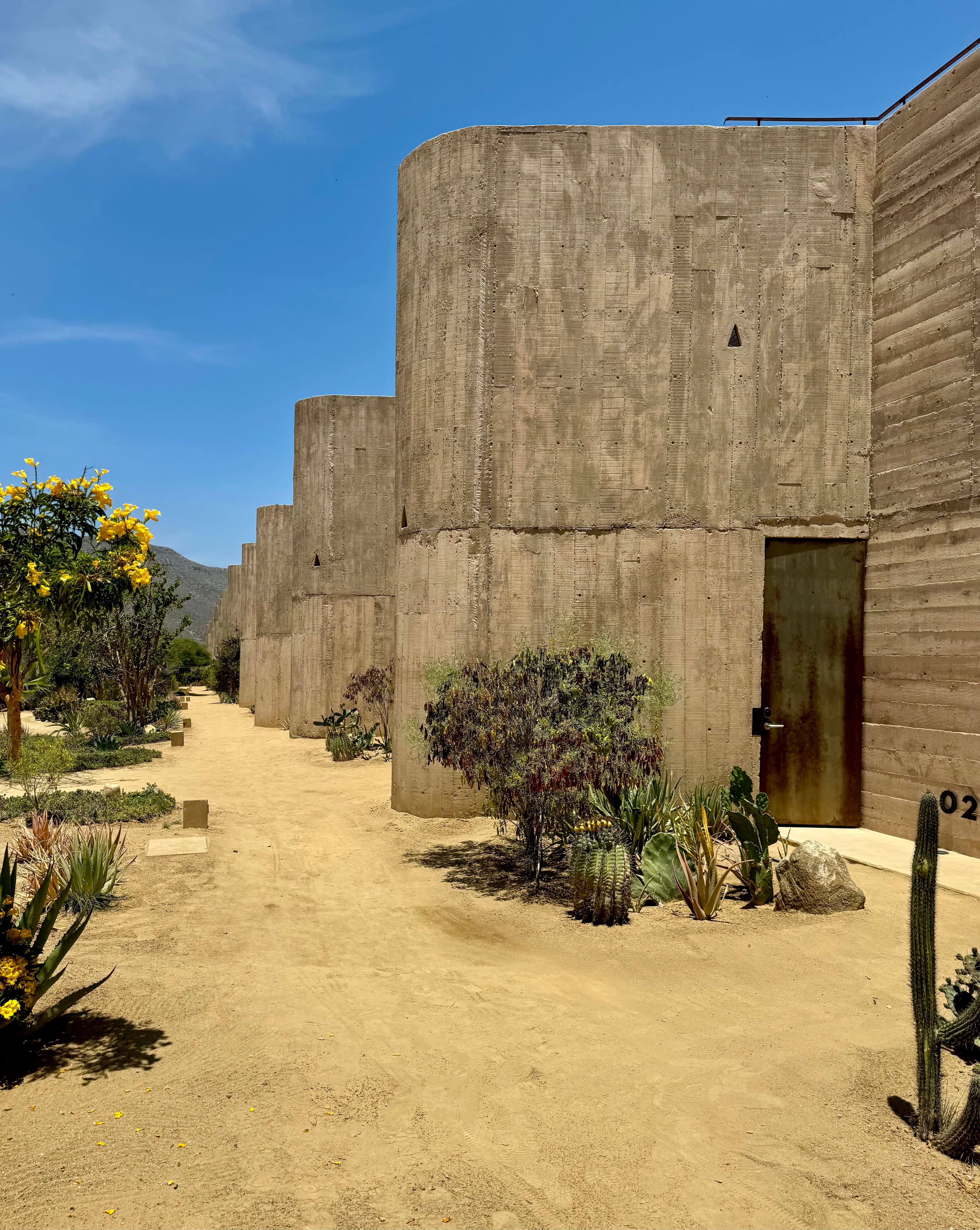 A Hidden Gem in Baja: Exploring Paradero Todos Santos curated by Kat Saval