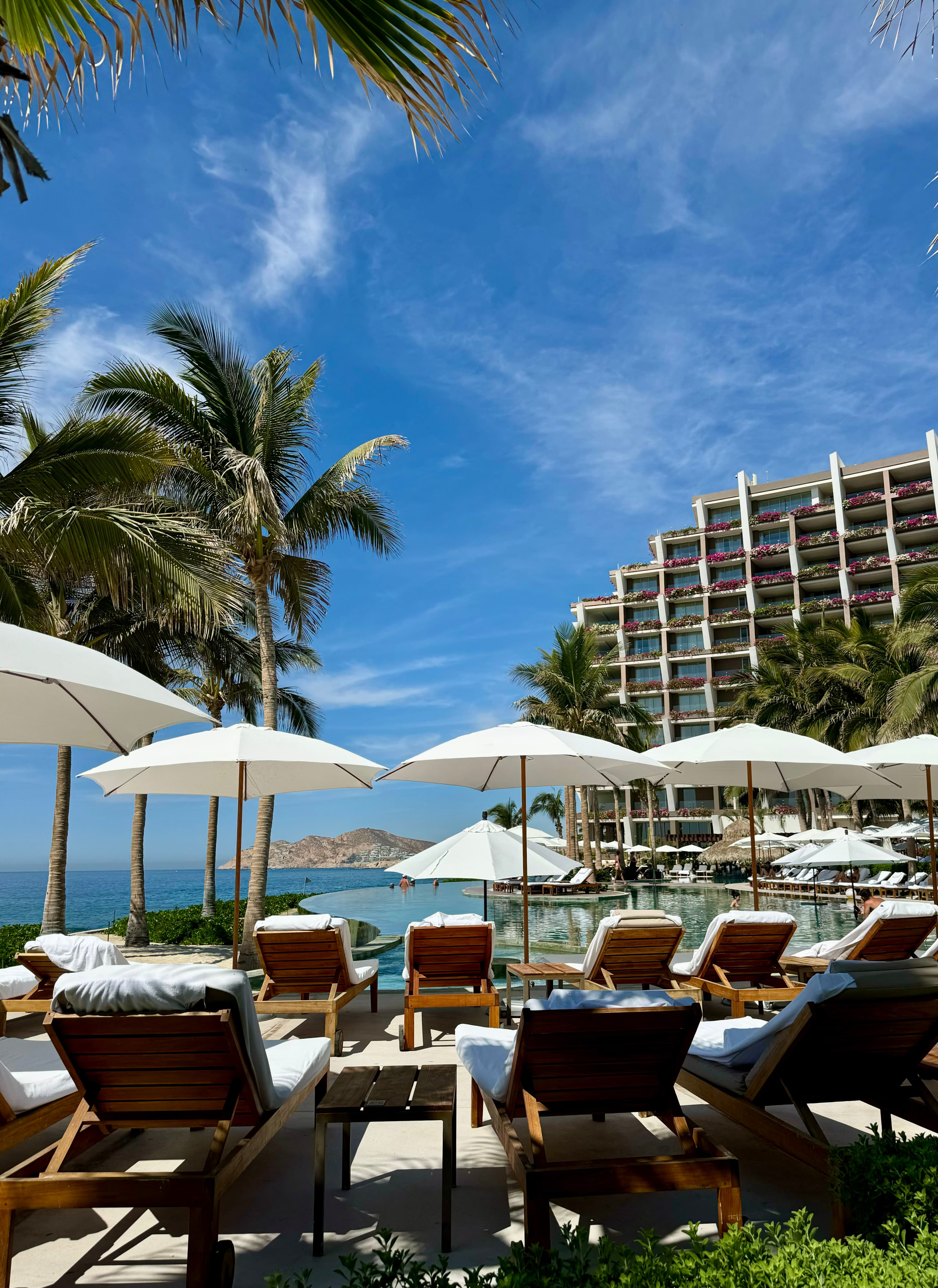 Luxury Redefined: A Curated Selection of Los Cabos Hotels curated by Kat Saval