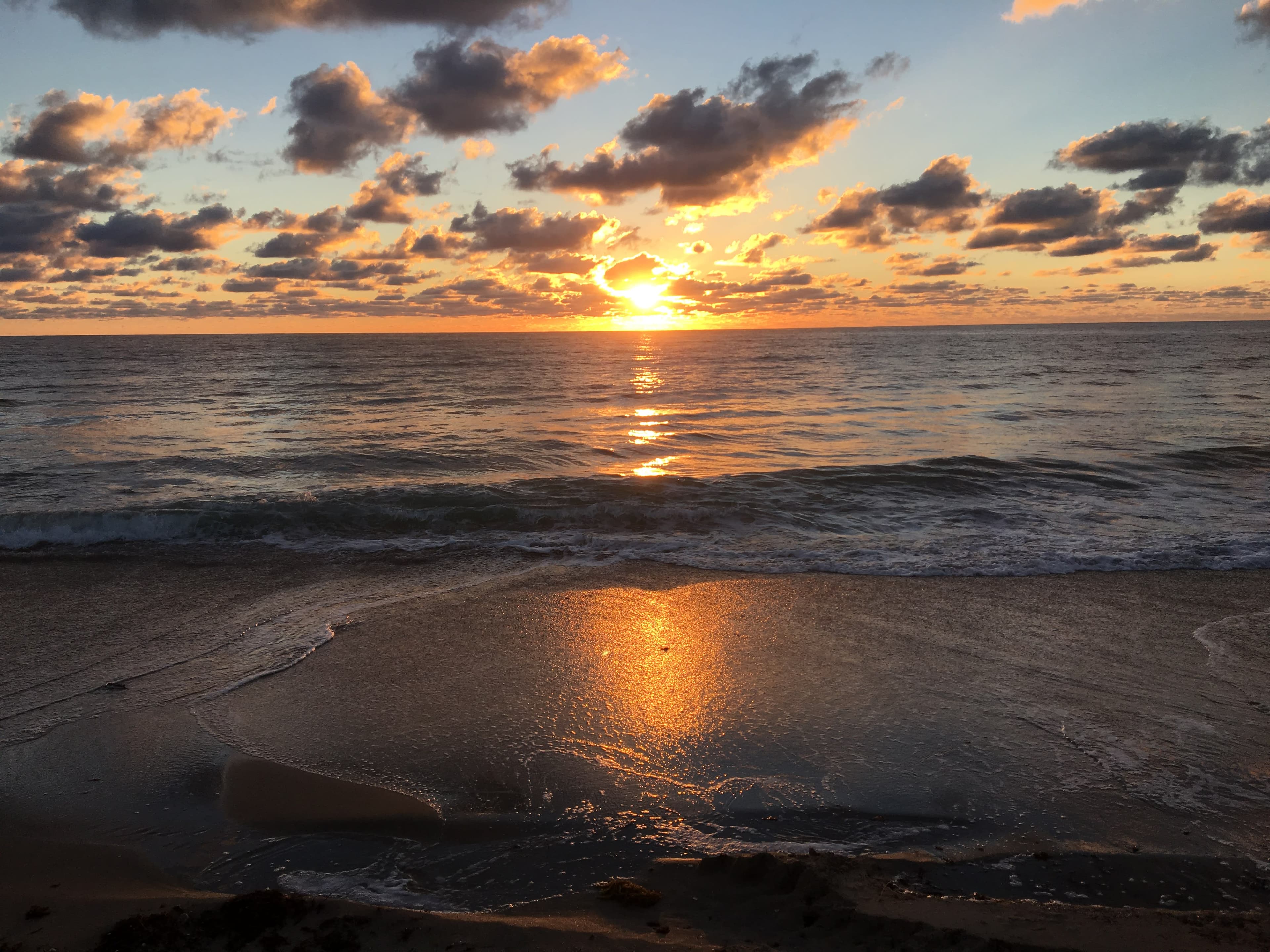 Delray Beach, Florida: Insider's Guide to the Village by the Sea curated by Brooke Hacker