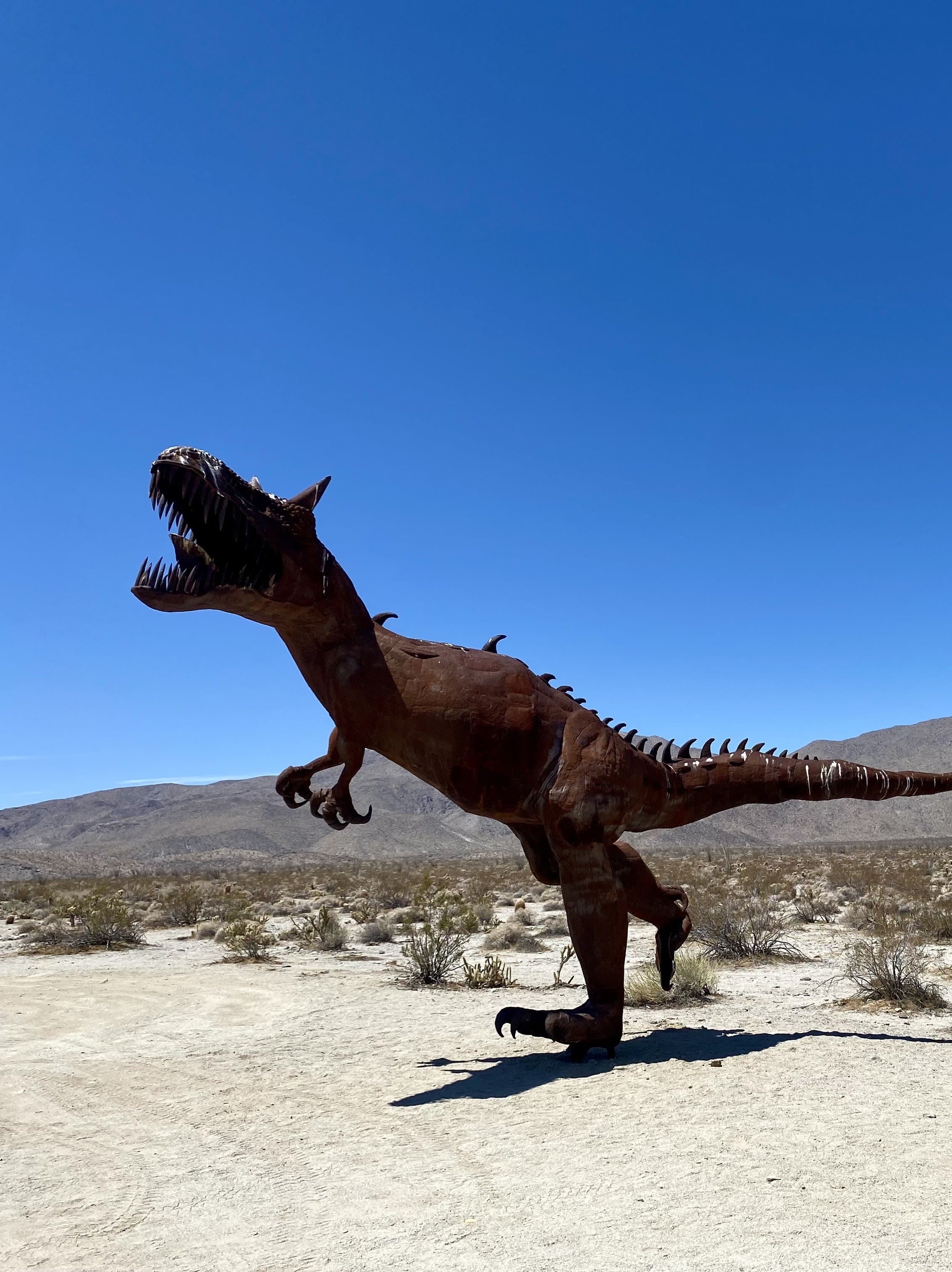 Weekend in Borrego Springs, California curated by Cassidy Hazelbaker