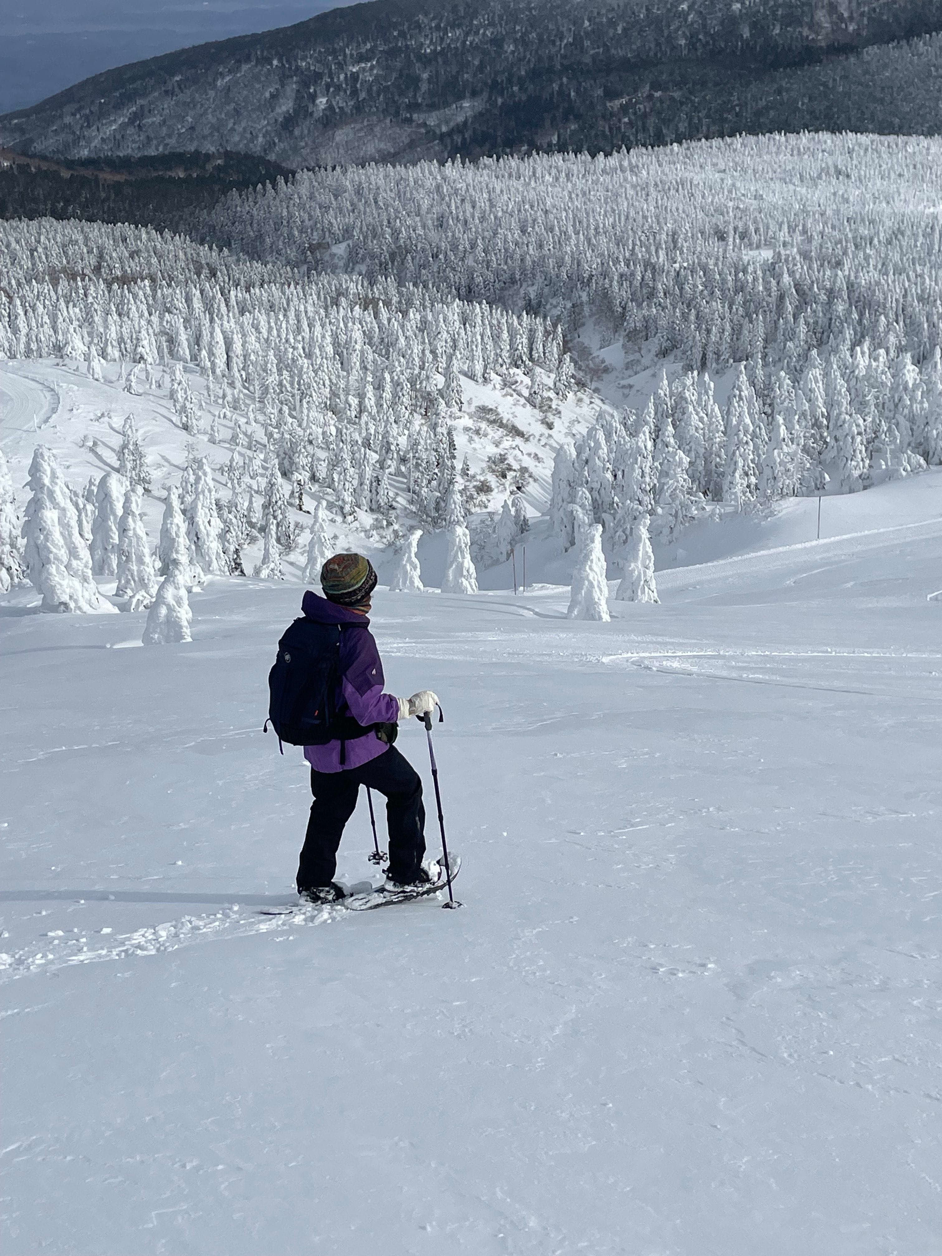 Solo Sojourn: Wellness Retreats in Setouchi and Tohoku, Japan curated by Virginia Sauer