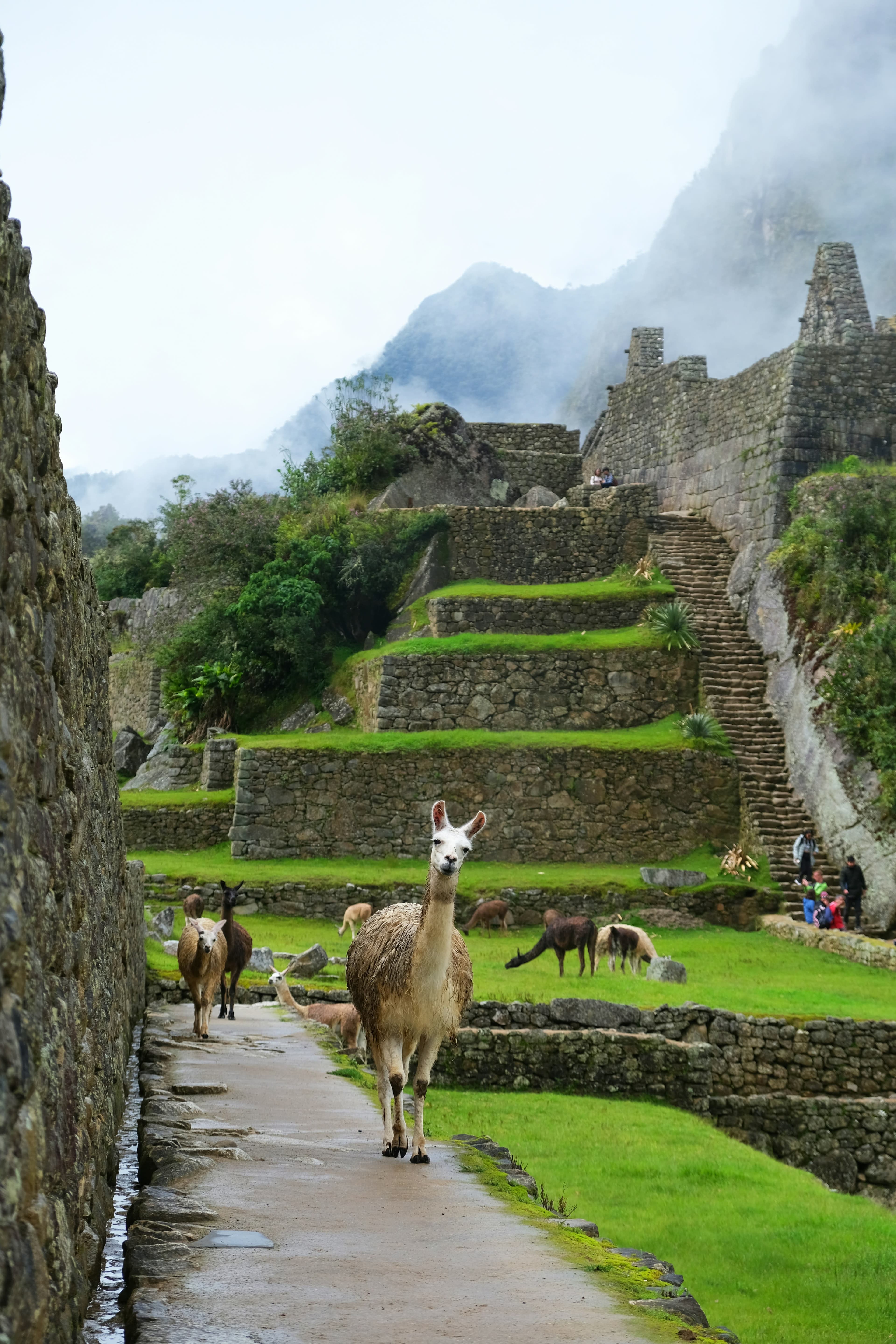 Peru: A Vibrant, Modern Culture Enriched by Its Ancient Past curated by Martha Pearlstone