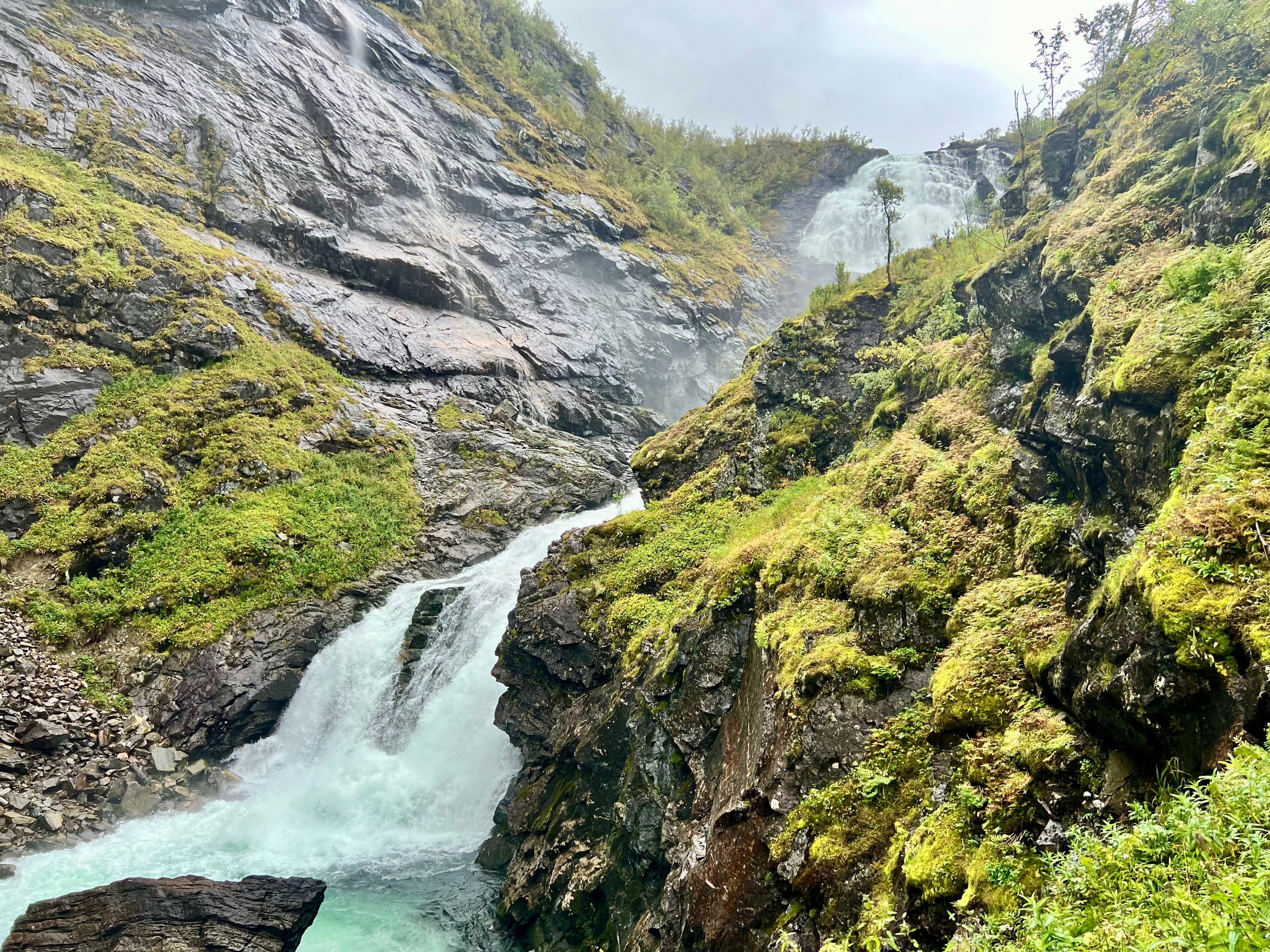 Fjords of Norway: My Cruise Port Guide curated by Lindsey Scanlon