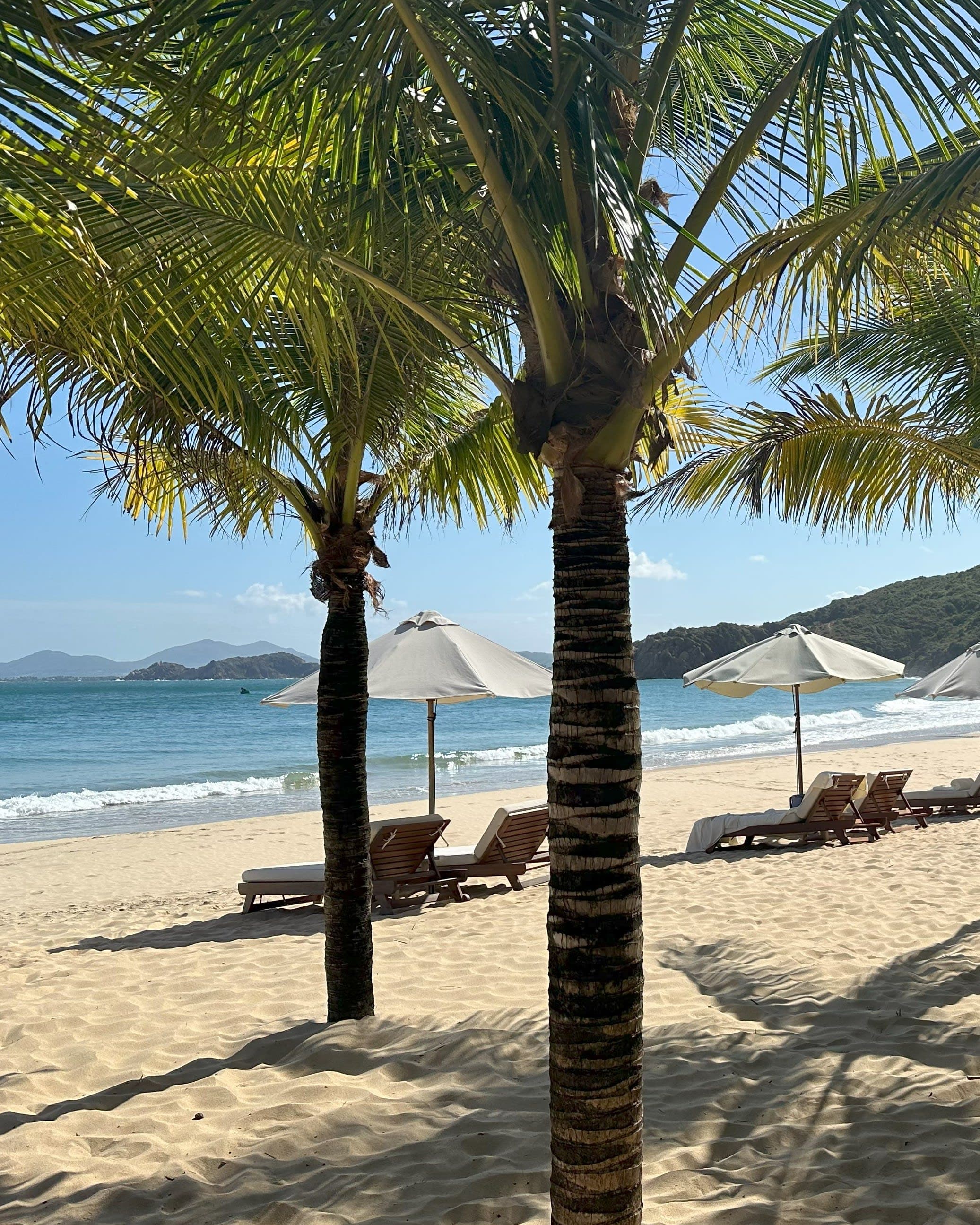 Zannier Hotels Bãi San Hô: A Tranquil Seaside Escape in Vietnam curated by Emily Rogers