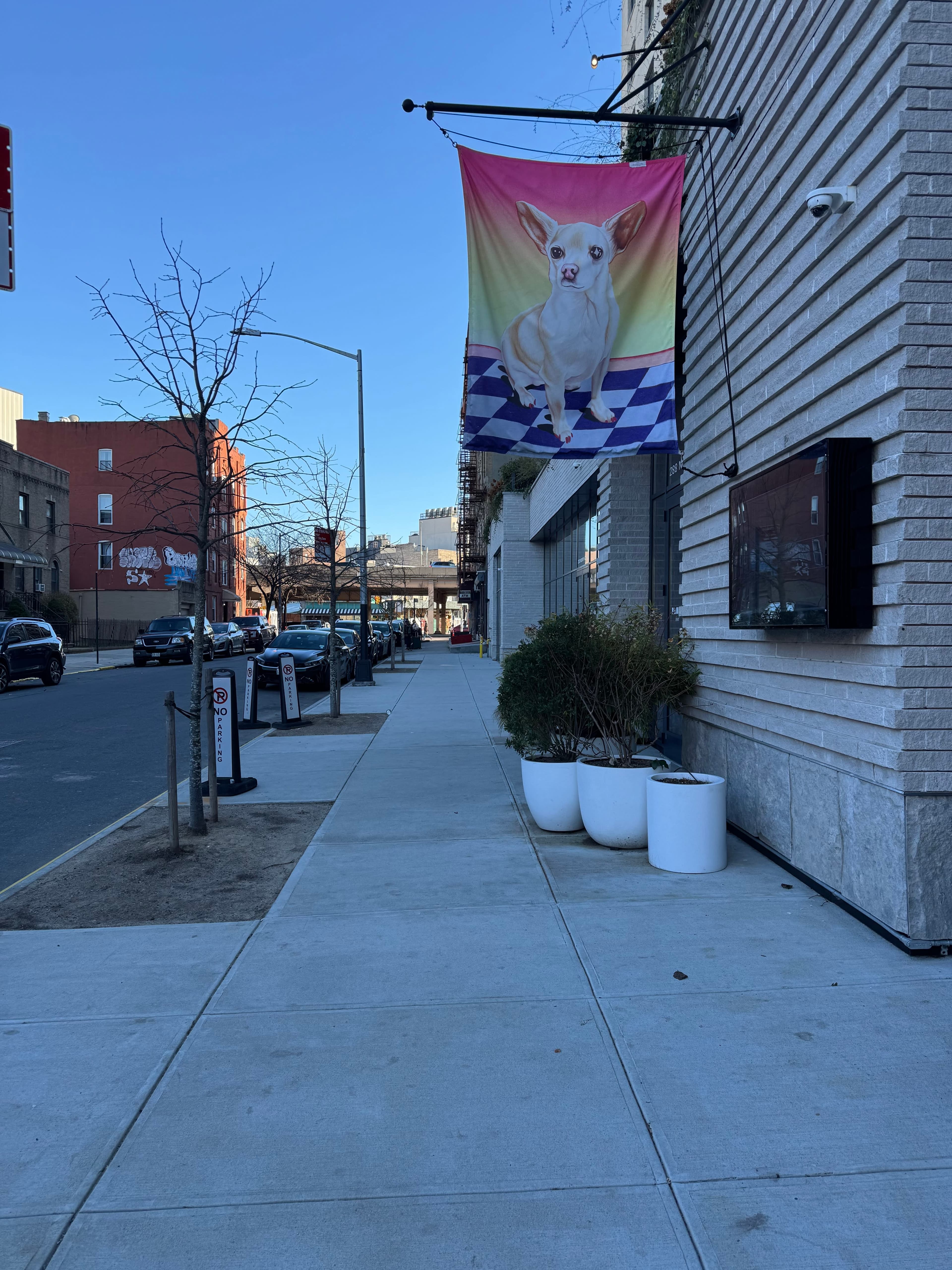 The Penny Williamsburg: A Quintessential Brooklyn Stay curated by Lawren Desai