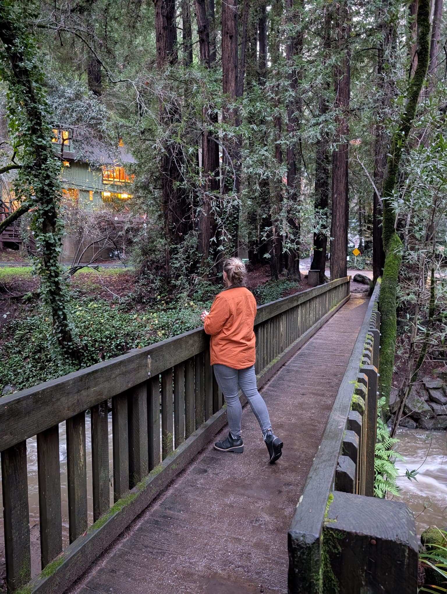 Tiburon & the North Bay: How To Be Proximate to San Francisco, but Still Feel Cozy curated by Candice Wilmuth