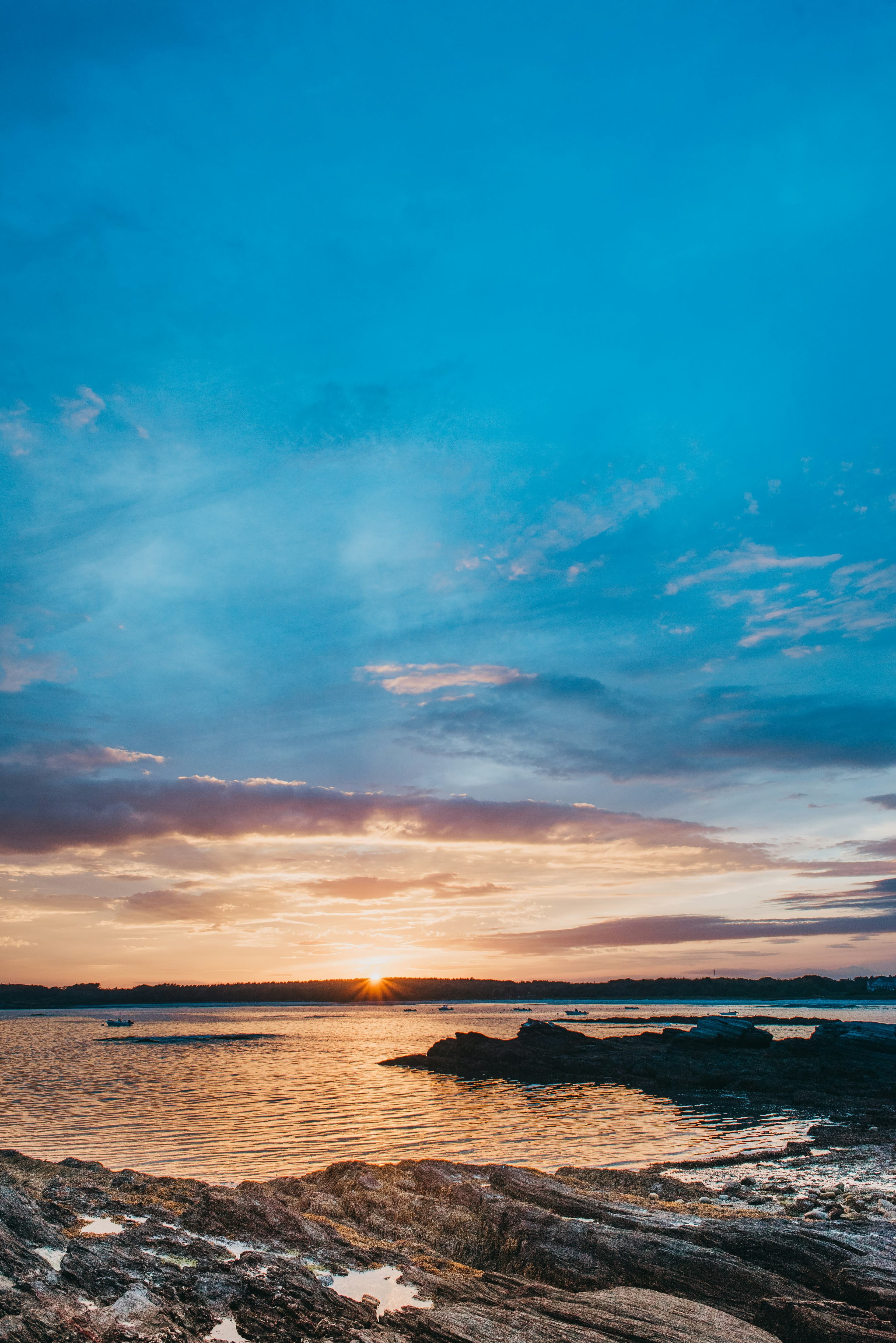 Road Trip Up the Maine Coast curated by Shanna Paynter