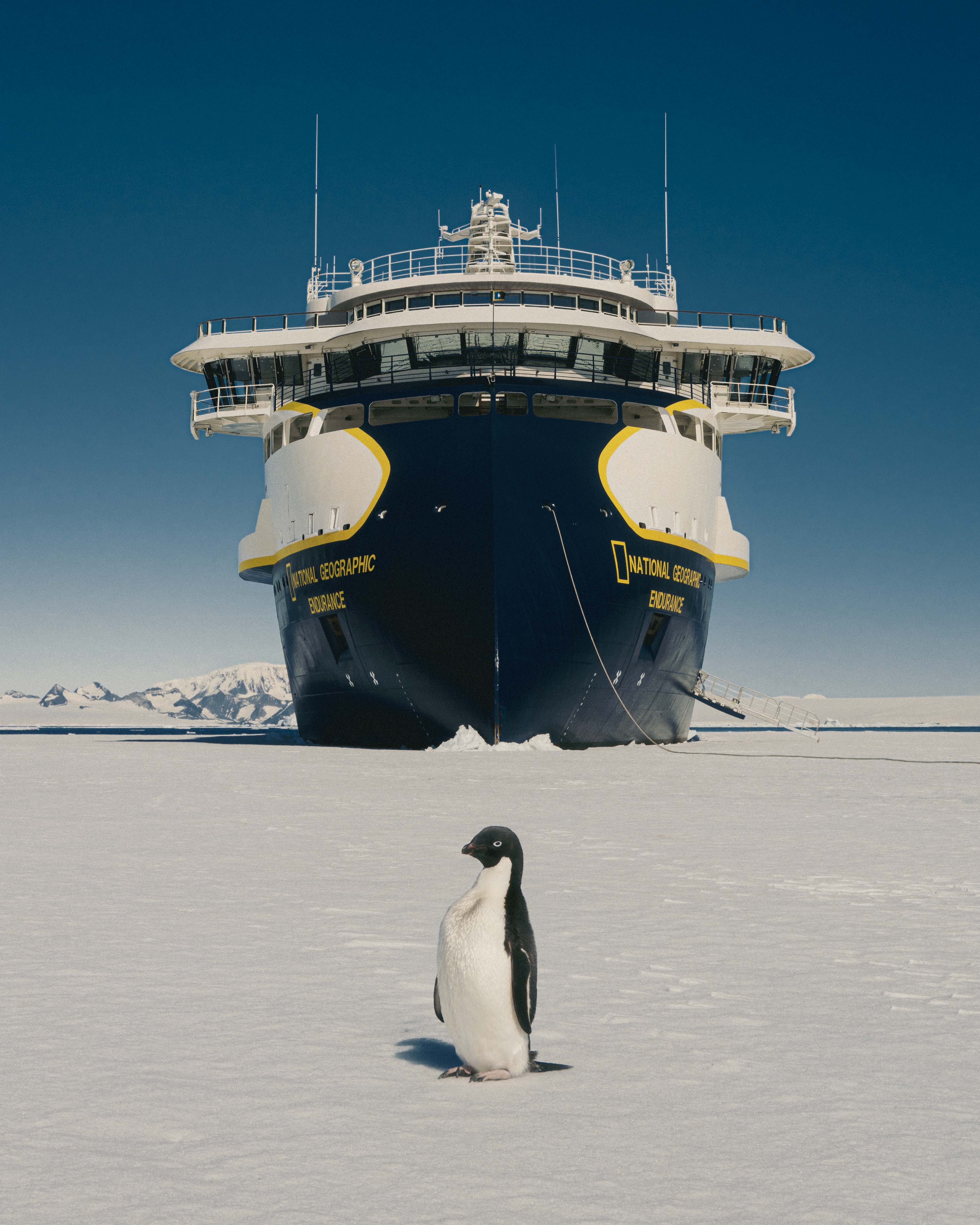 Fora - What you can book