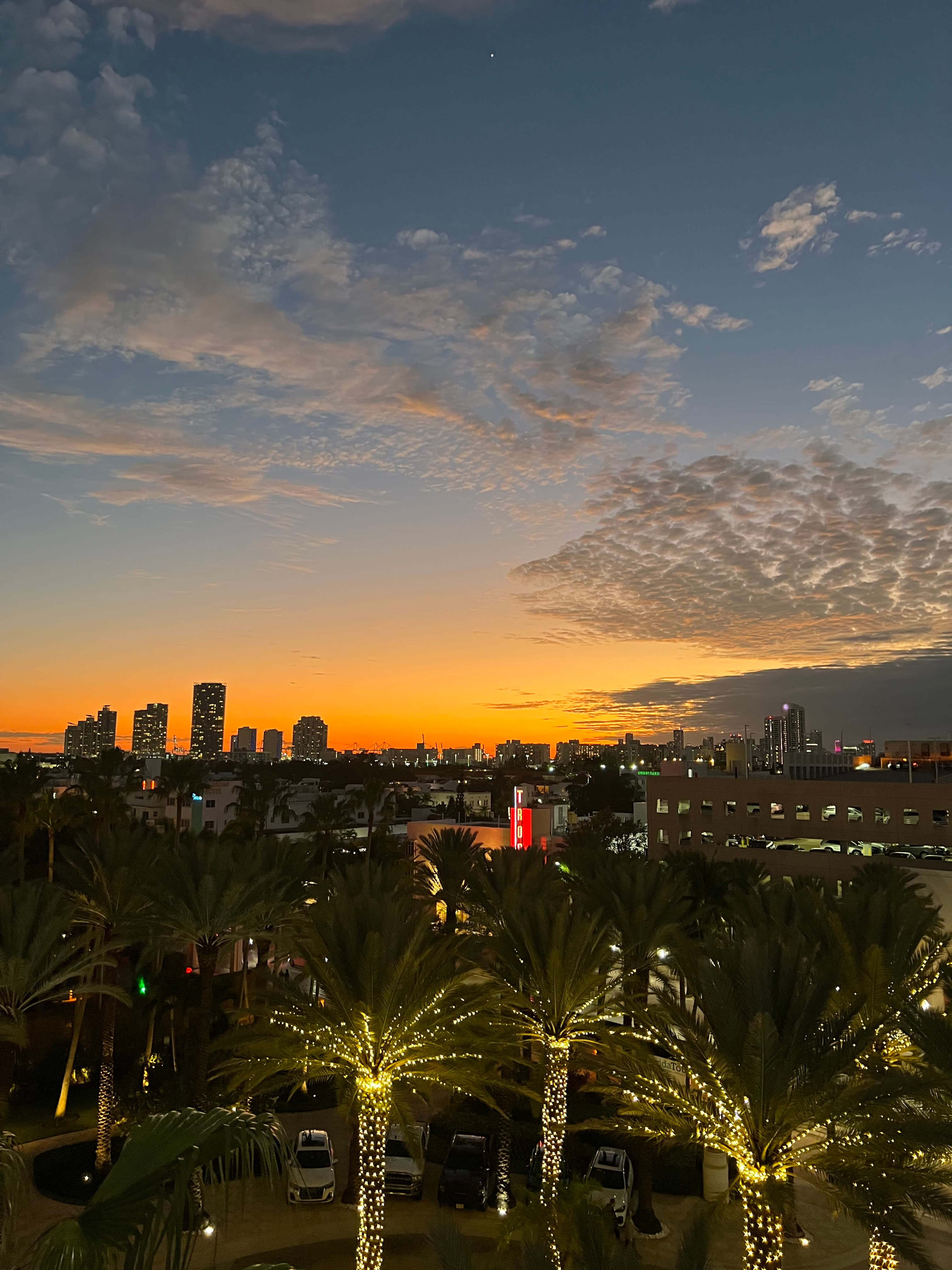 Vibrant Stay at Loews Miami Beach Hotel curated by Megan Freedman