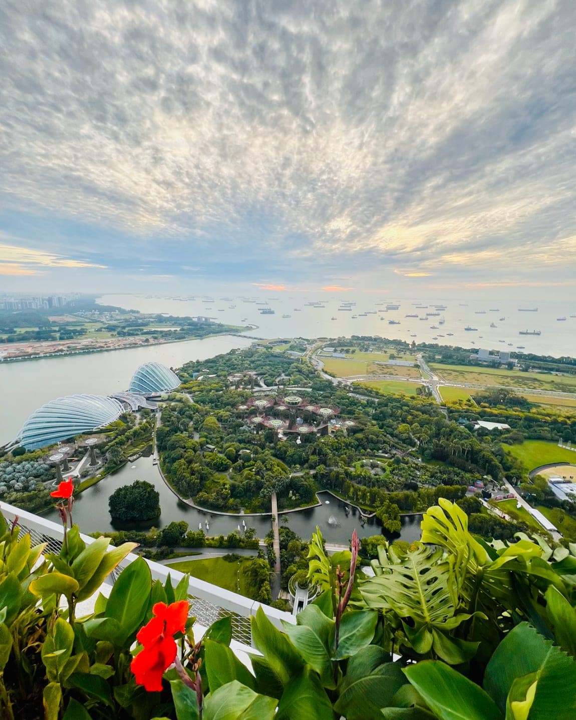 Woman on a street with shops and palm trees on either side and a large building with a golden dome in front.