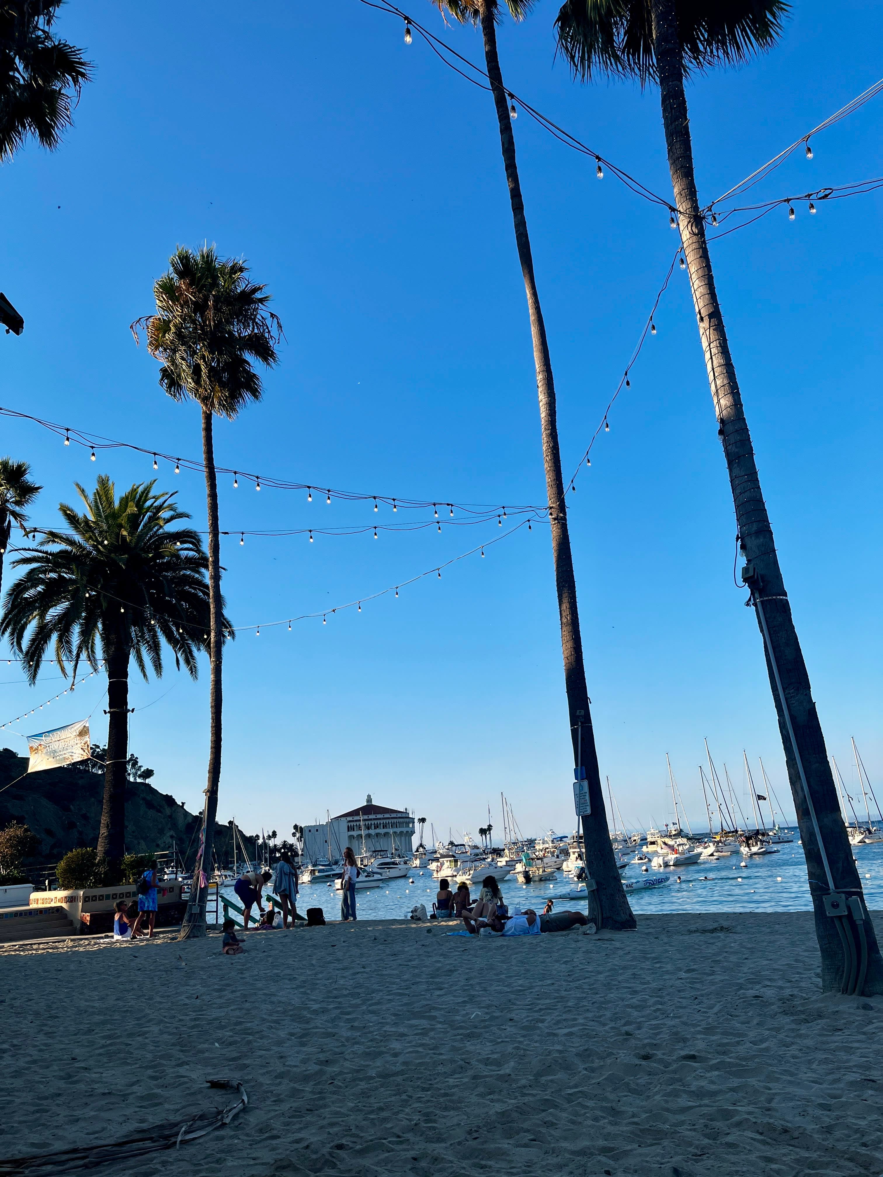 Honeymooning on Catalina Island curated by Anna Reid