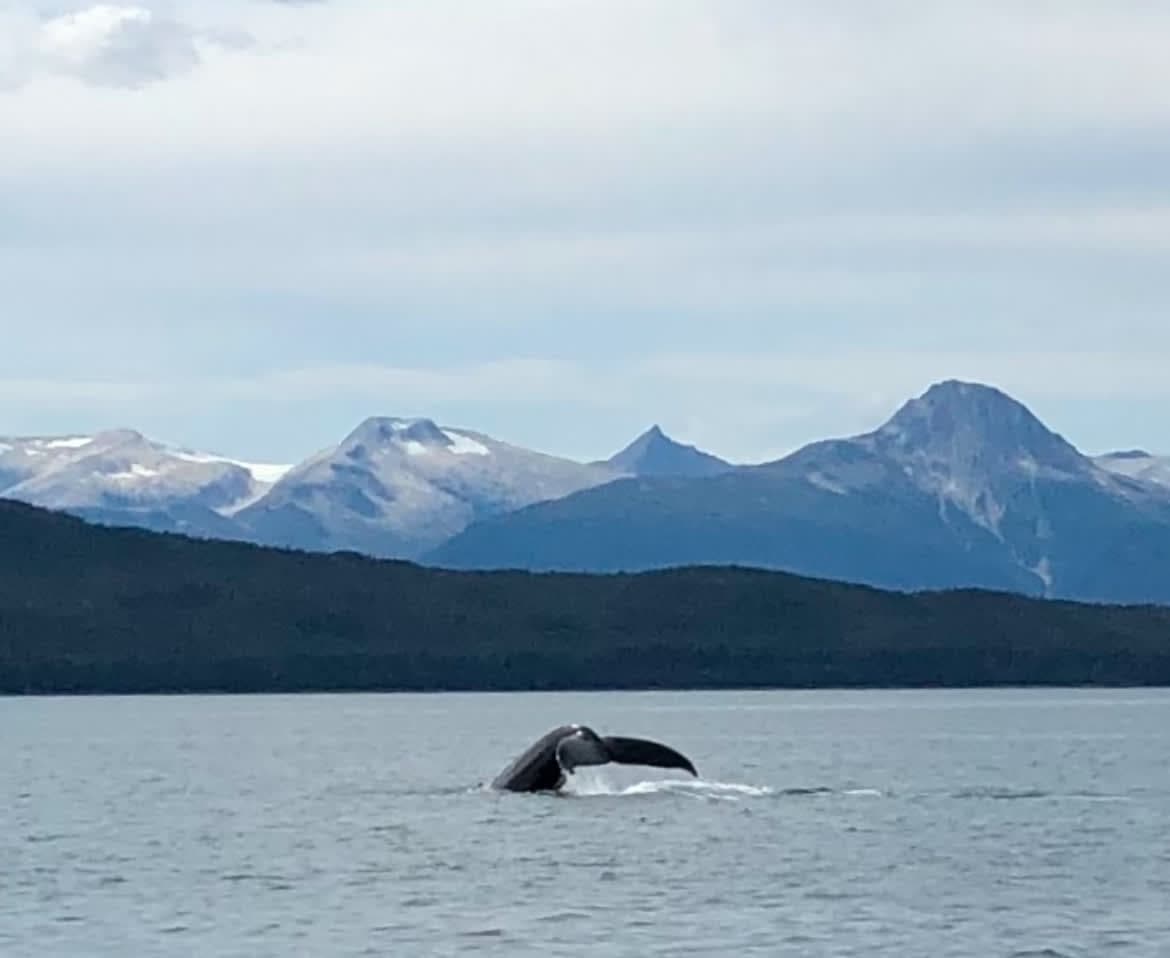 The Ultimate Guide To Packing for an Alaskan Cruise curated by Debbie Whelchel