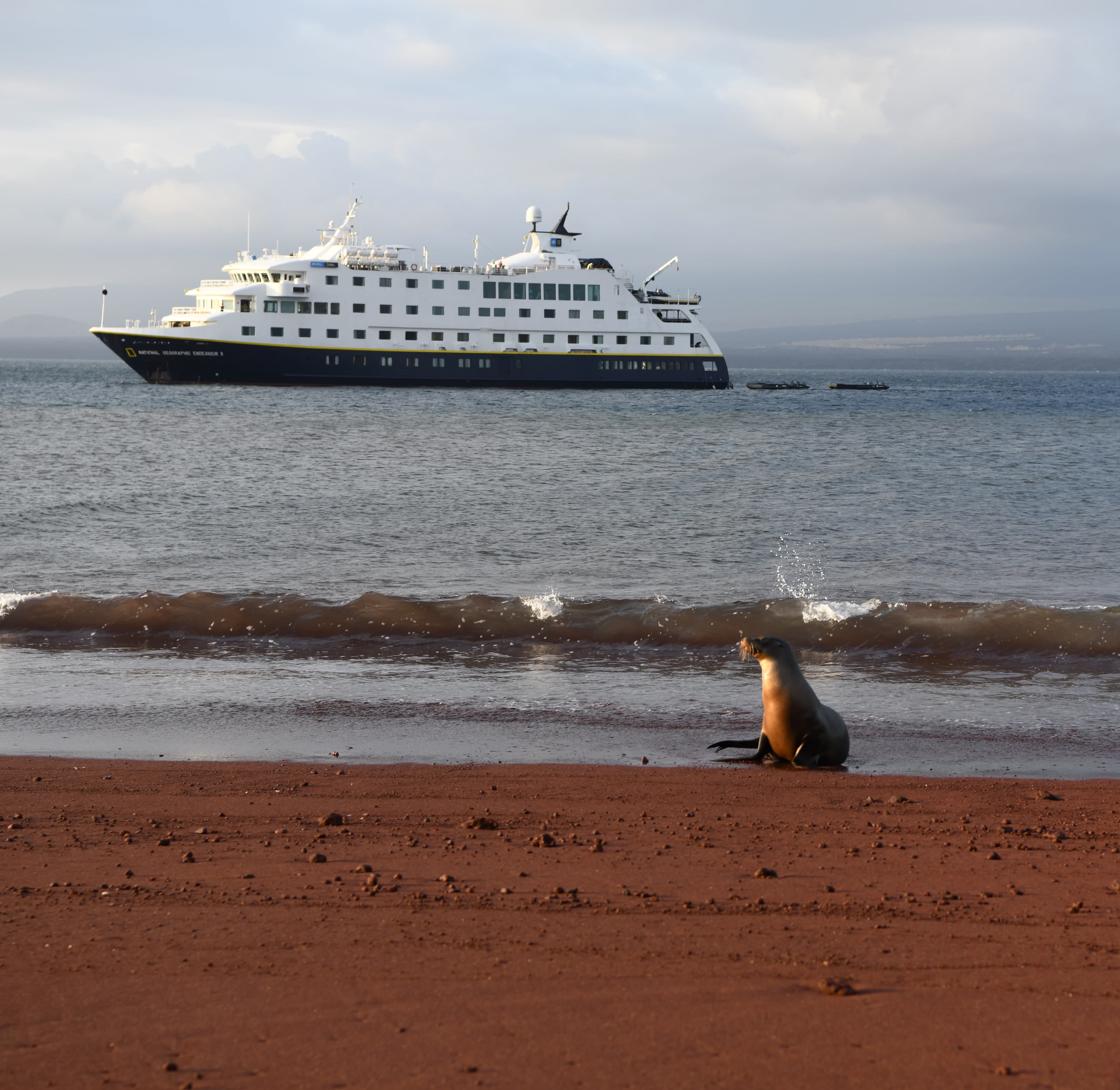 Expedition Cruising in the Galápagos with National Geographic & Lindblad curated by Jennifer Lopez