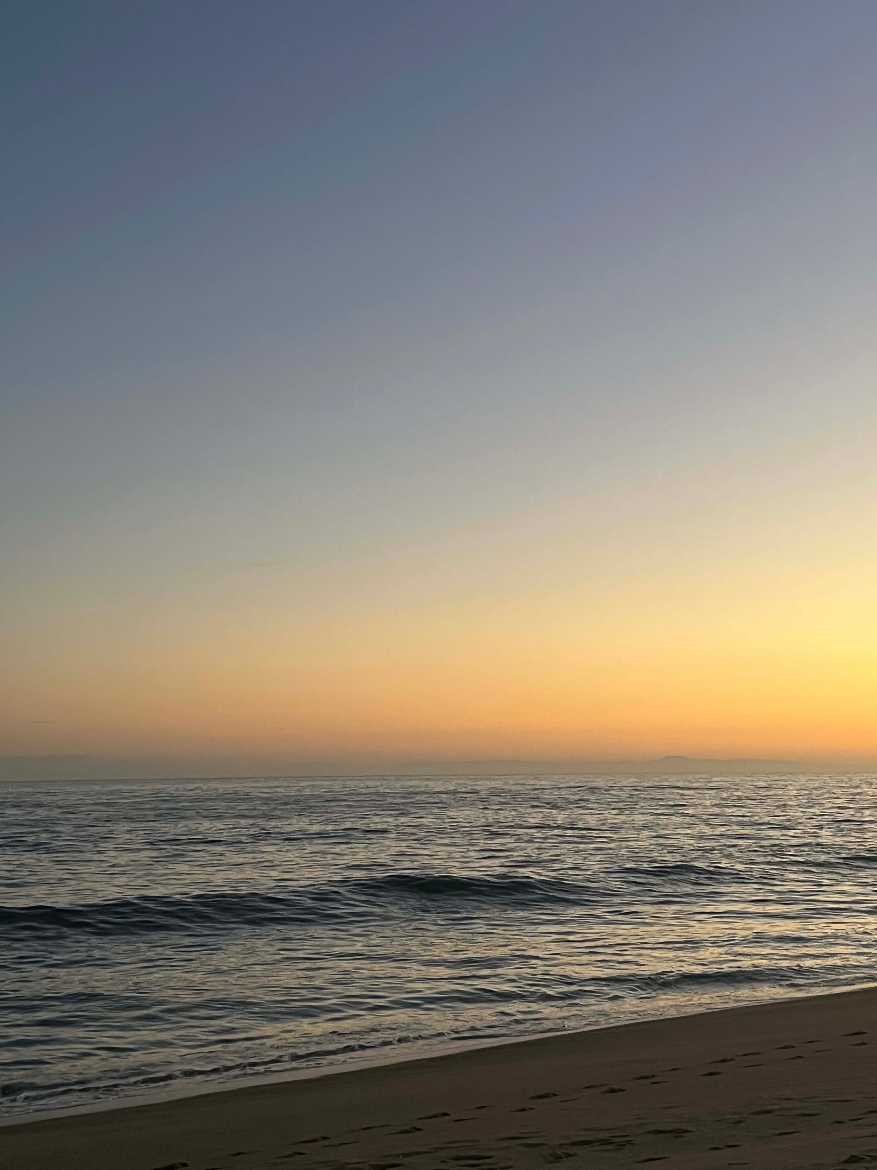 Newport Beach: Live it and Love it curated by Whitney Bonin