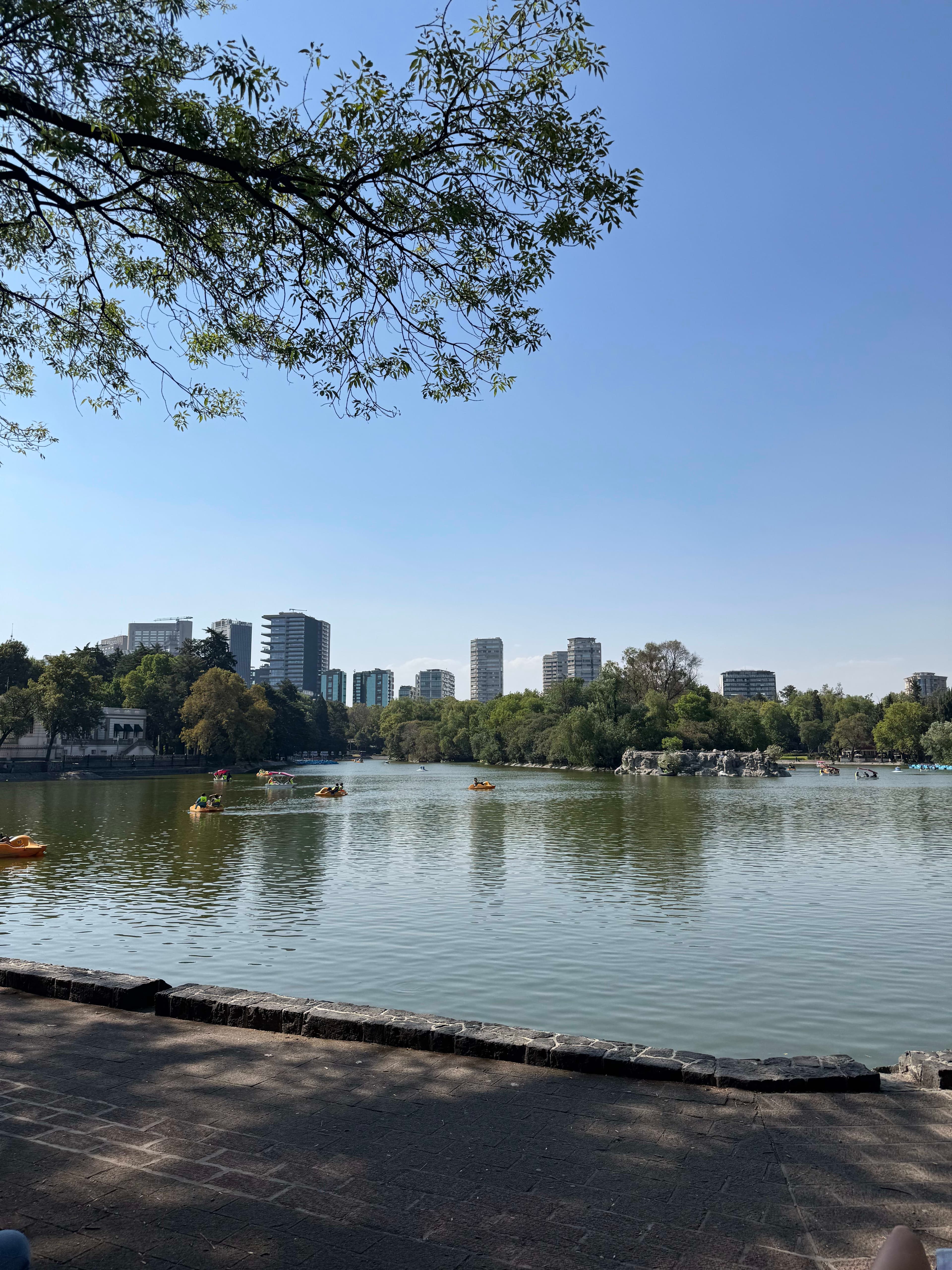 A Guide to Mexico City: Where to Eat, Stay and Explore curated by Chris Nino