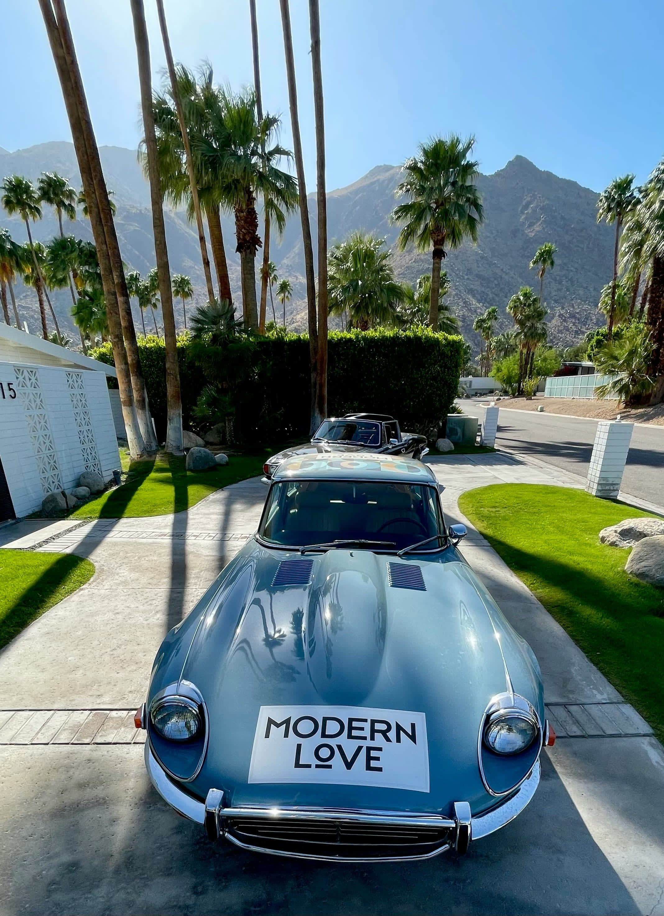 Palm Springs: The Quintessential Desert Retreat curated by Sara Umali