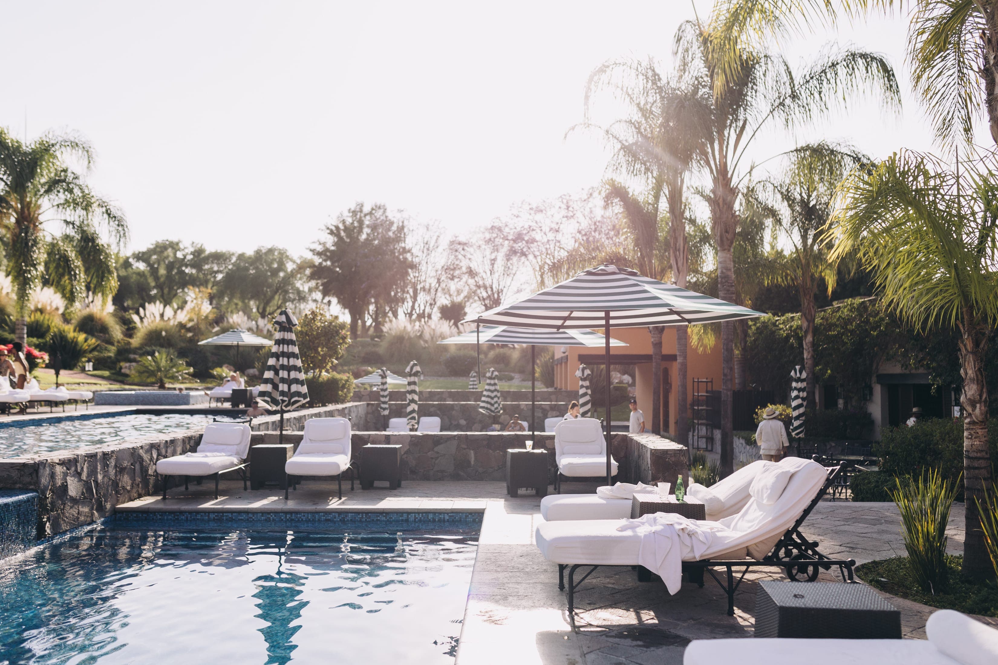 Fora - Fora Reserve: your secret weapon