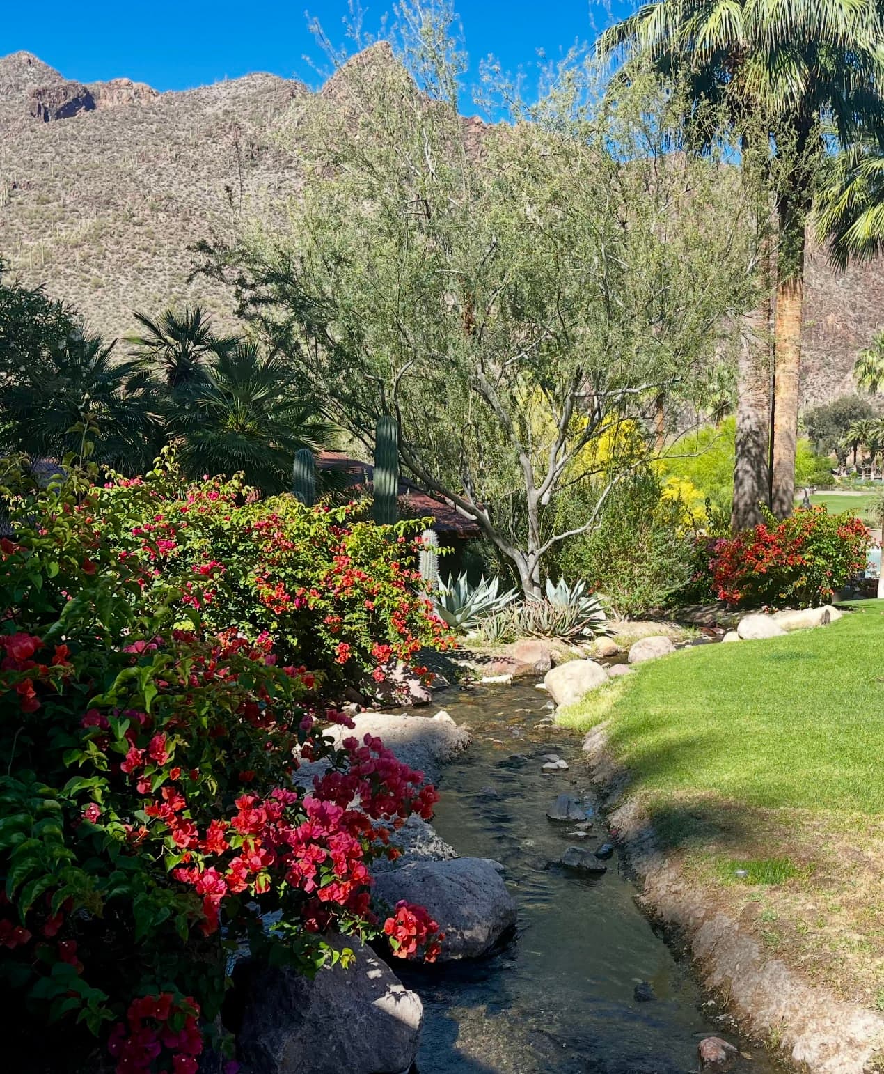 Two Amazing Days at Castle Hot Springs curated by Gwyn Pearce