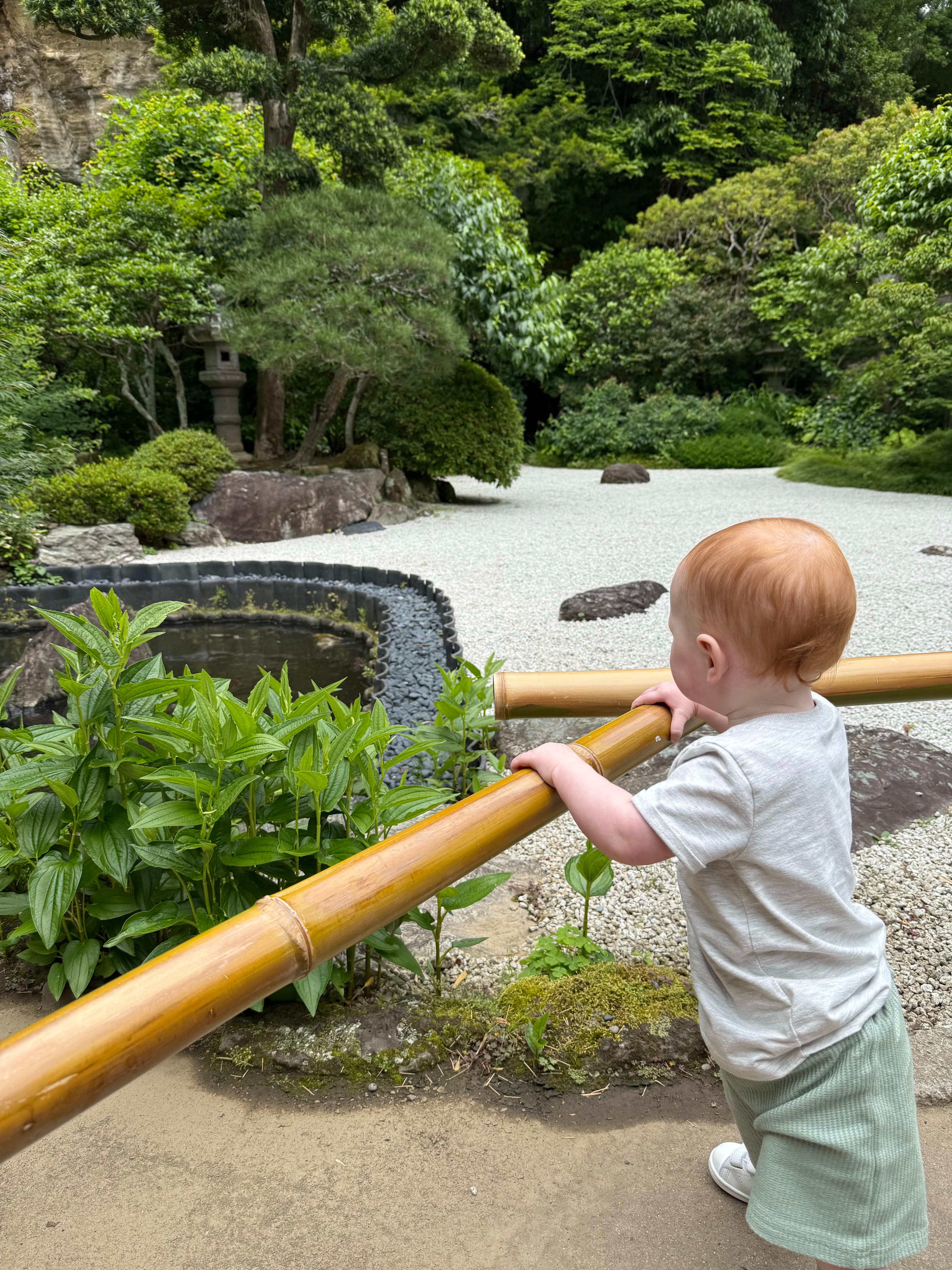 Traveling to Asia with a Toddler curated by Megan Freedman