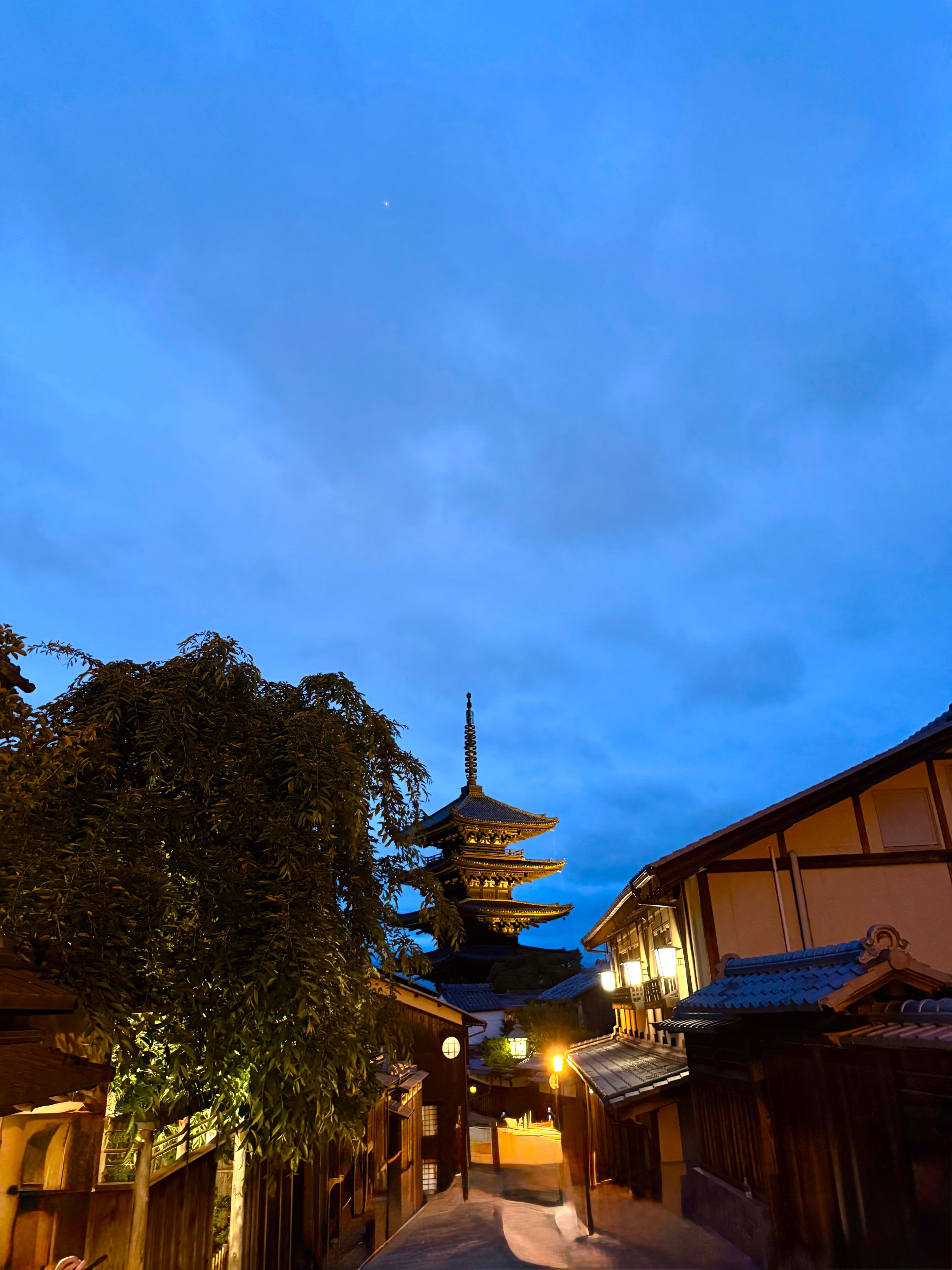 The Ultimate Guide to Japan: Tokyo, Kyoto & Beyond curated by Megan Freedman