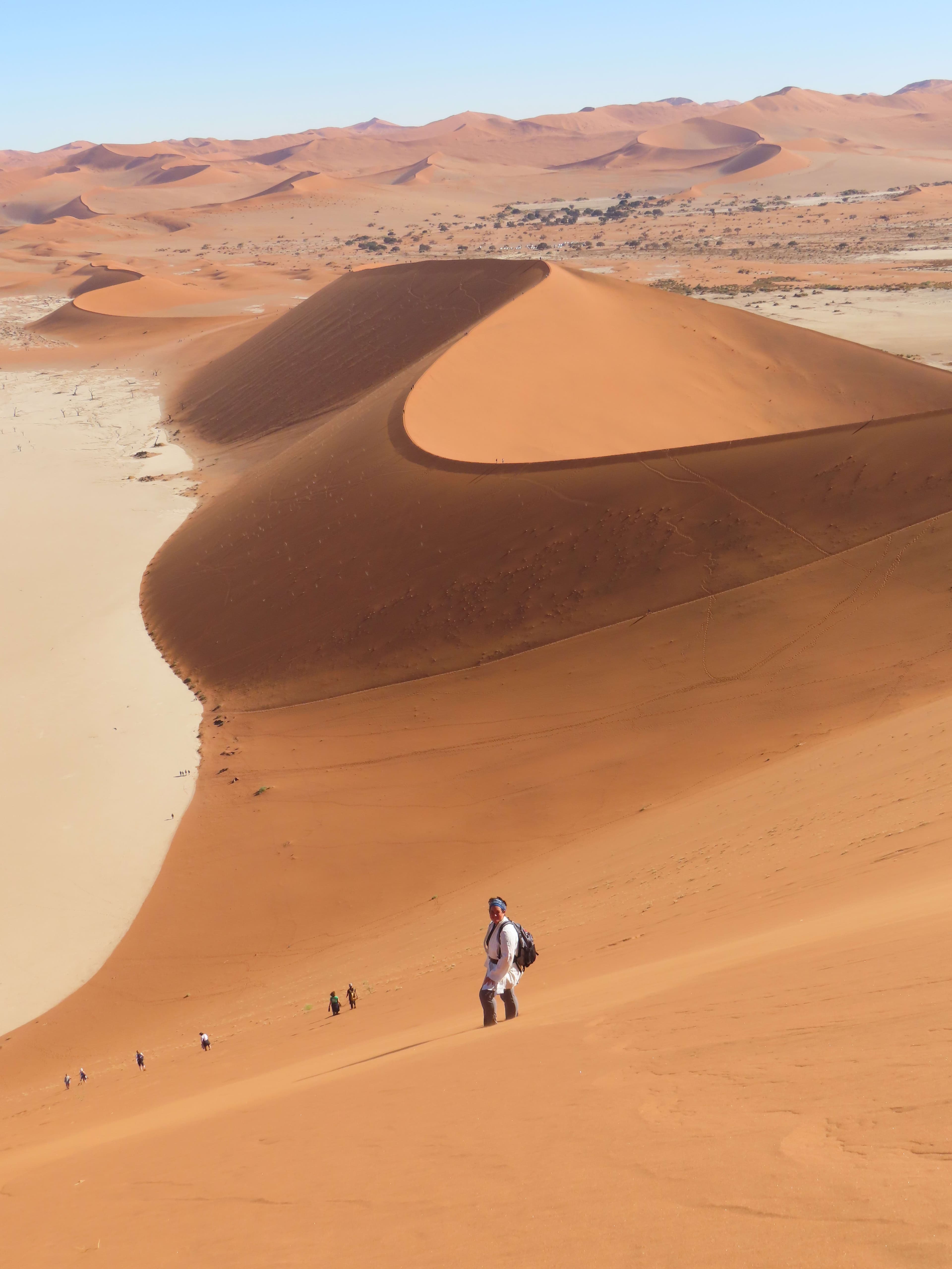 Into the Wild: 12 Days of Namibia Discovery curated by Mei-Mei Kirk