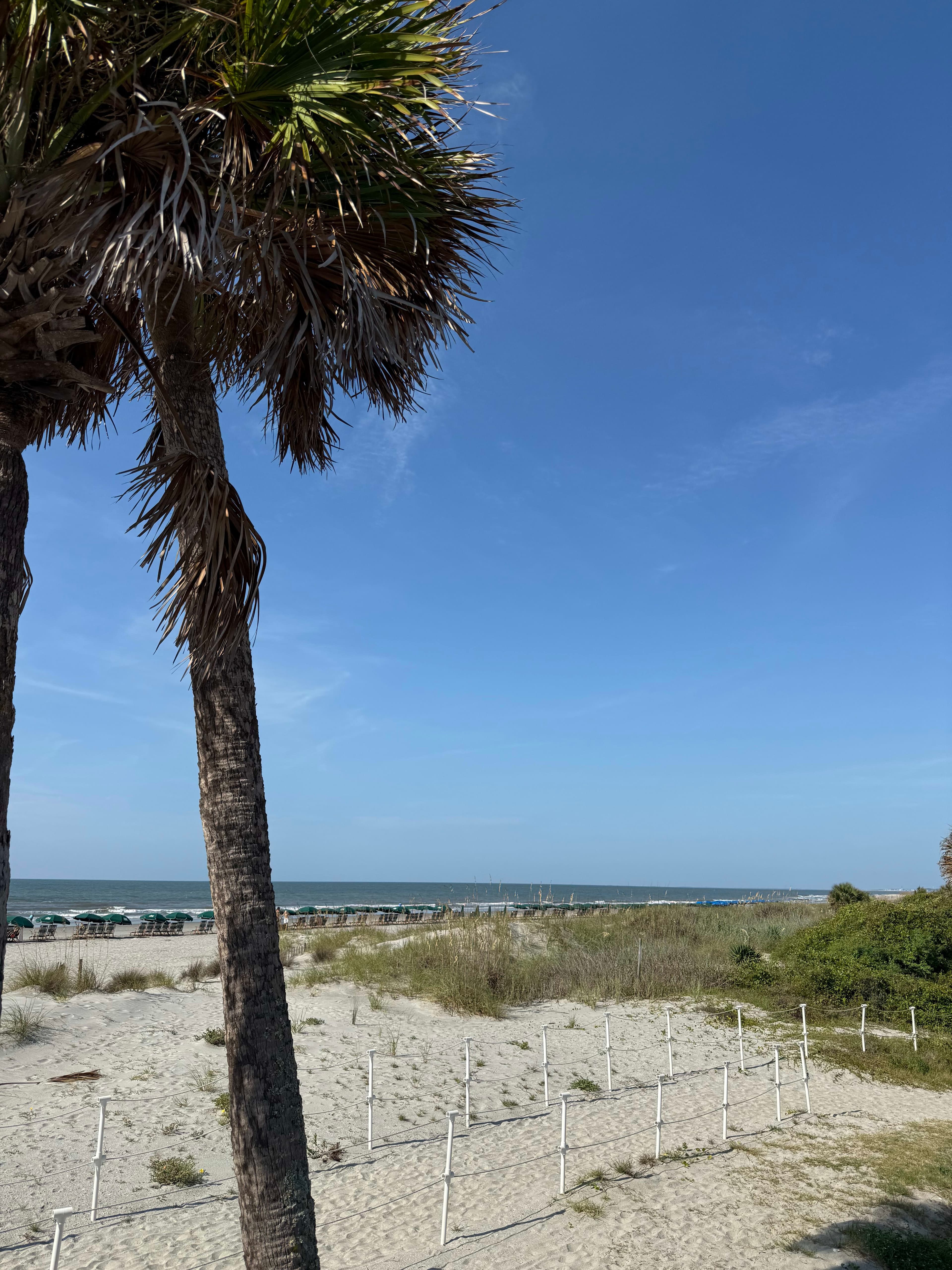 Wild Dunes Resort: A Family-Friendly Beach Escape Just Minutes From Charleston curated by Jordan Christian
