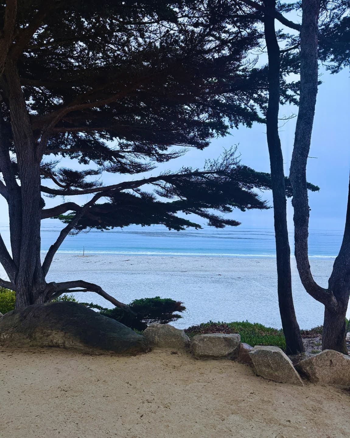 The Ultimate Carmel-by-the-Sea & Carmel Valley Travel Guide: Weekend to Weeklong curated by Melissa Thomas