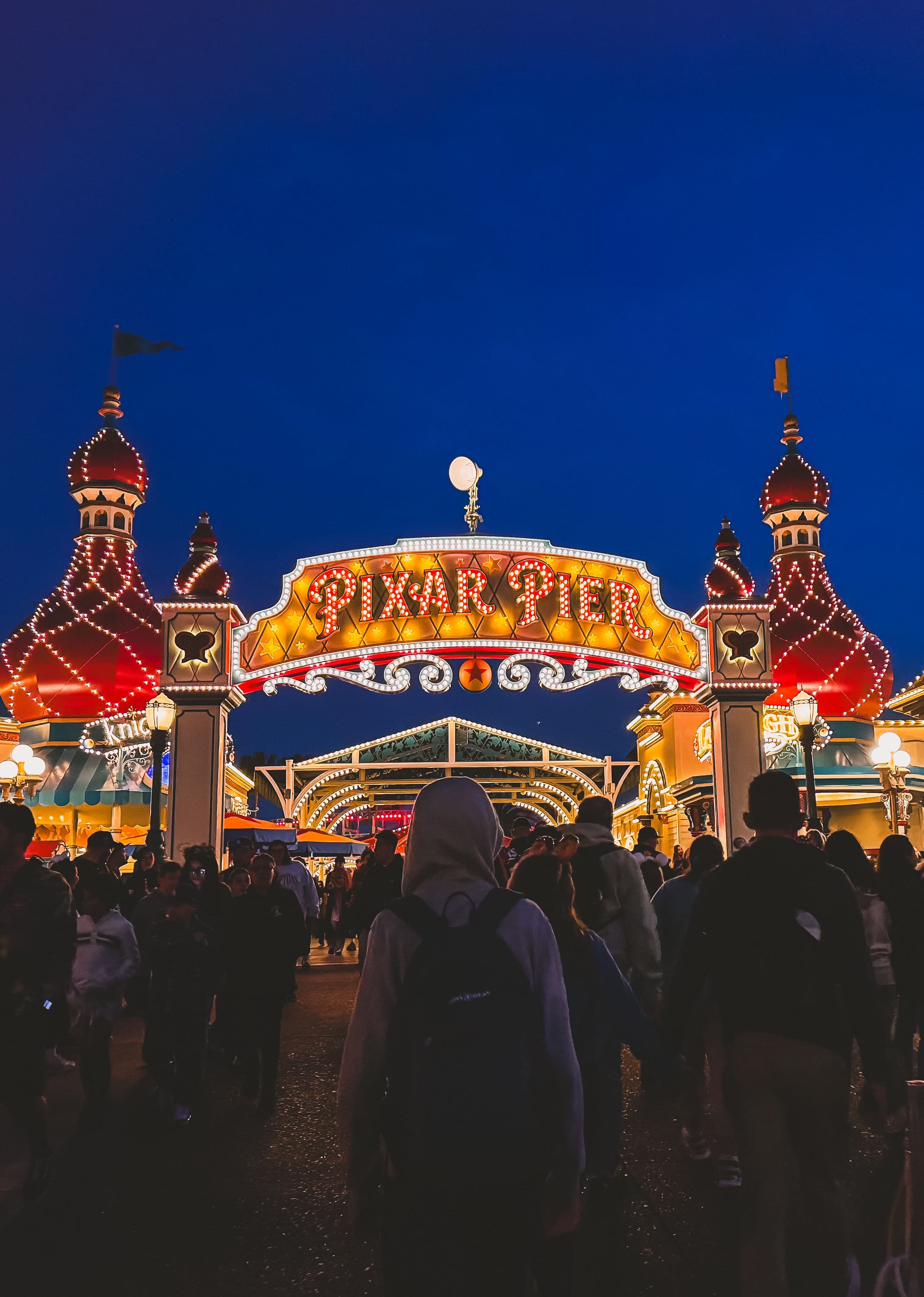 The Exhausted Parent's Guide to Disneyland curated by Erin Ewing