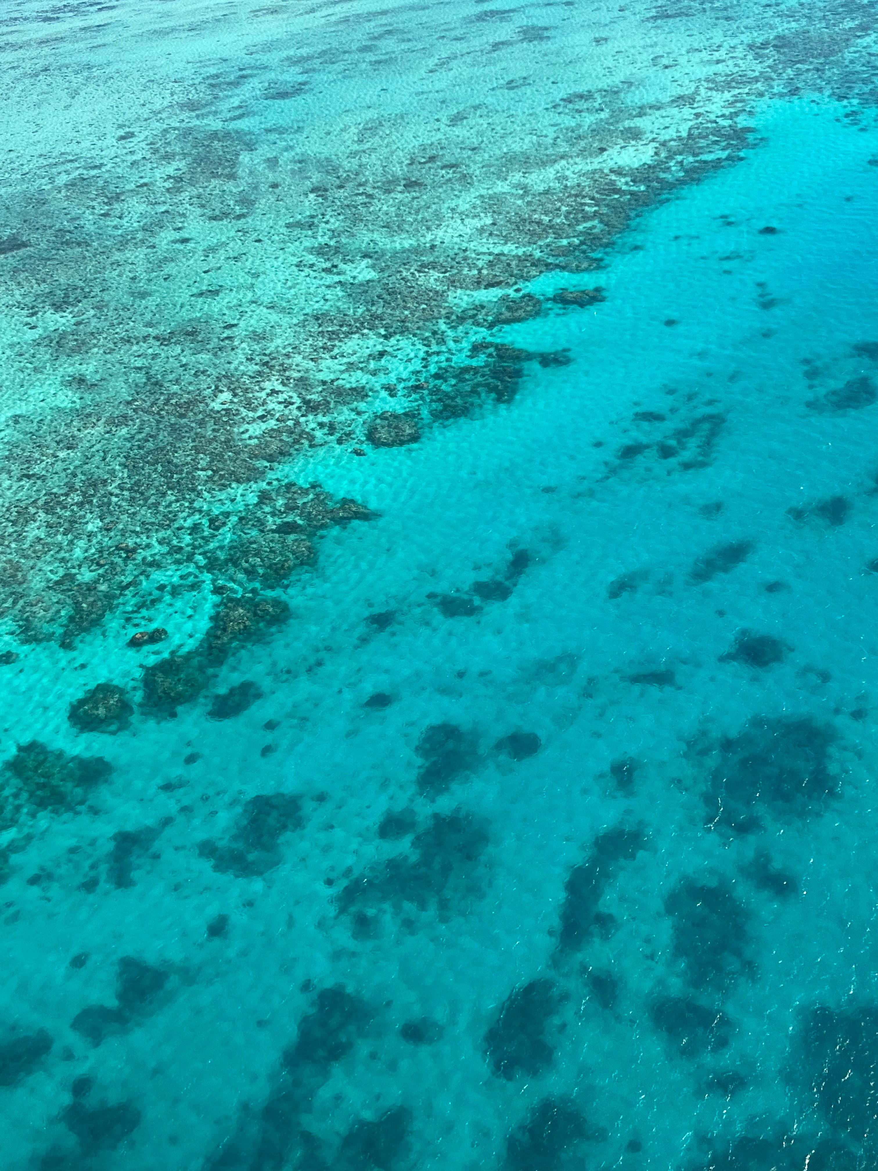 Cairns, Australia: Adventure & Relaxation in the Heart of Far North Queensland curated by Whitney Bonin