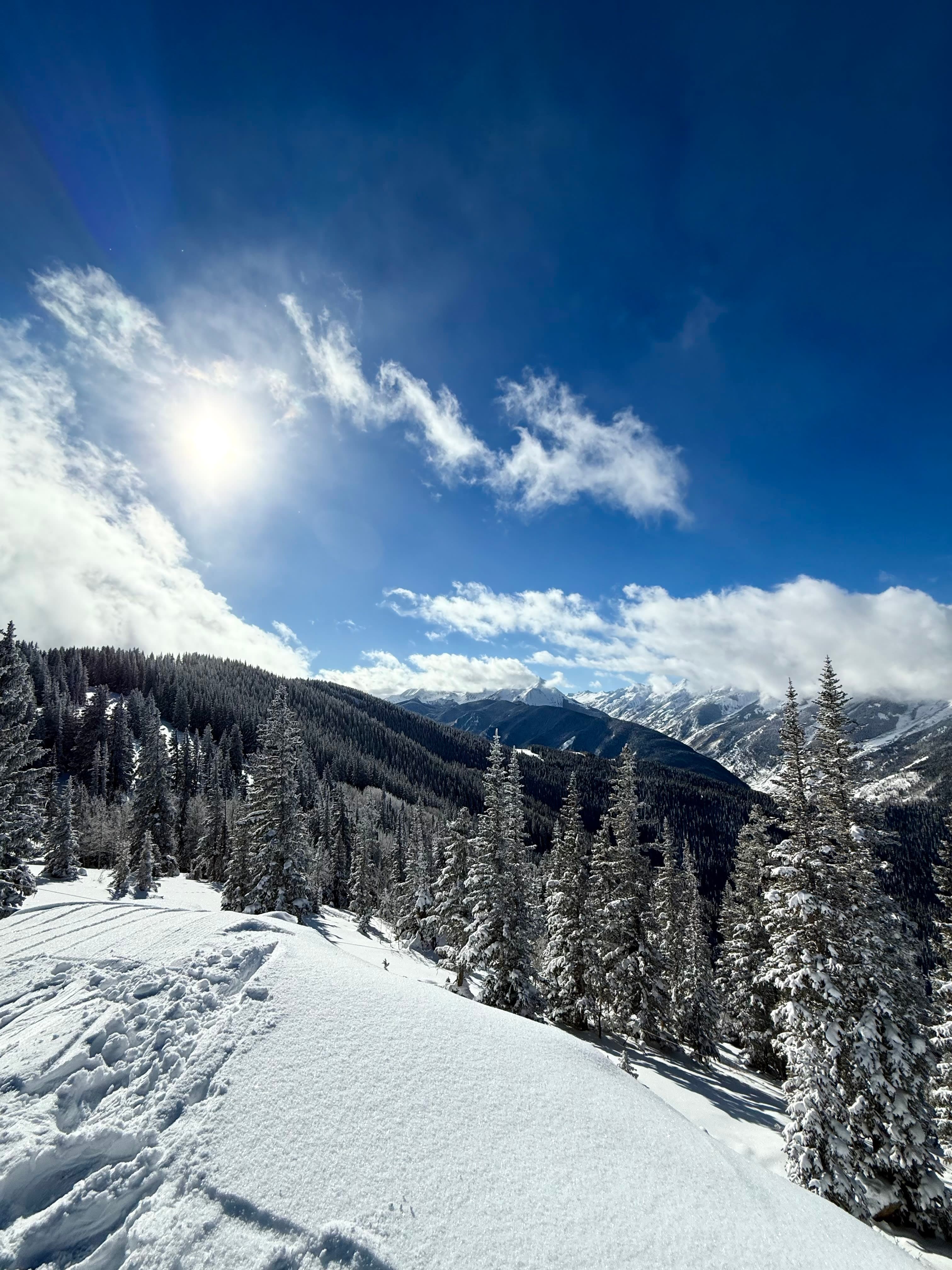 The Best of Aspen curated by Megan Freedman