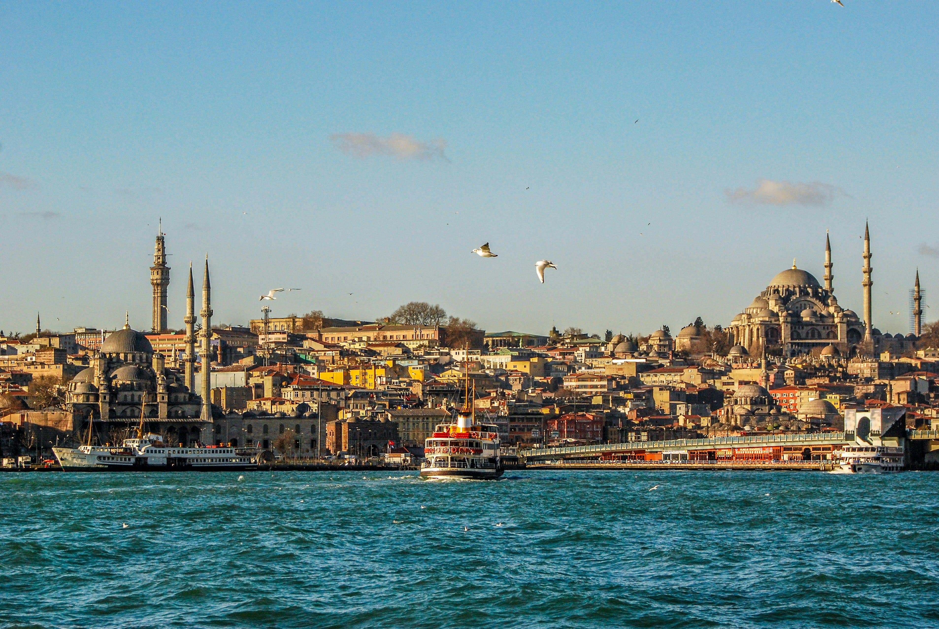 The Hagia Sophia on a hill next to a palm tree on a clear day in Istanbul.