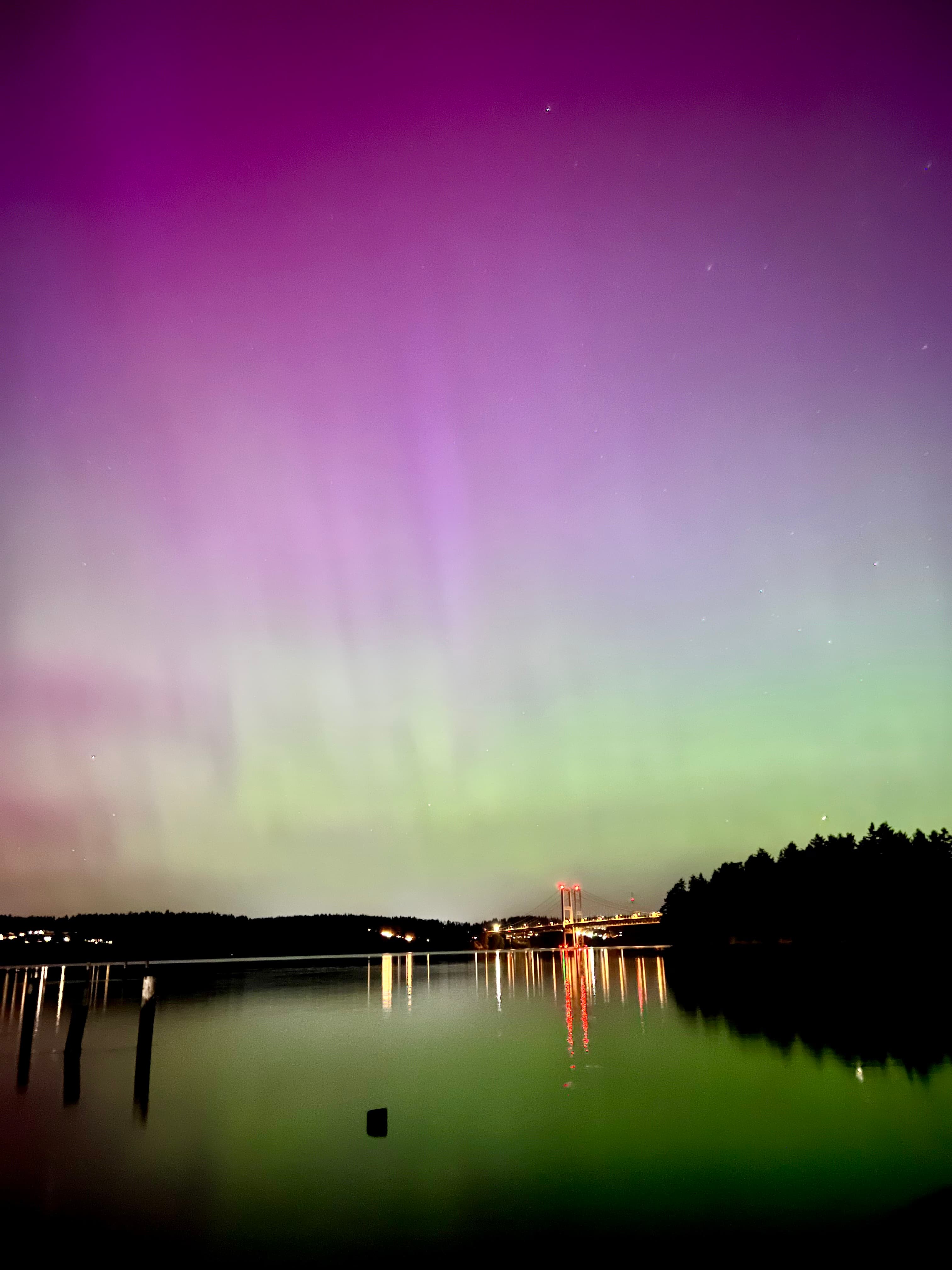 A purple and green sunset with a water way, foliage and lights in the distance.