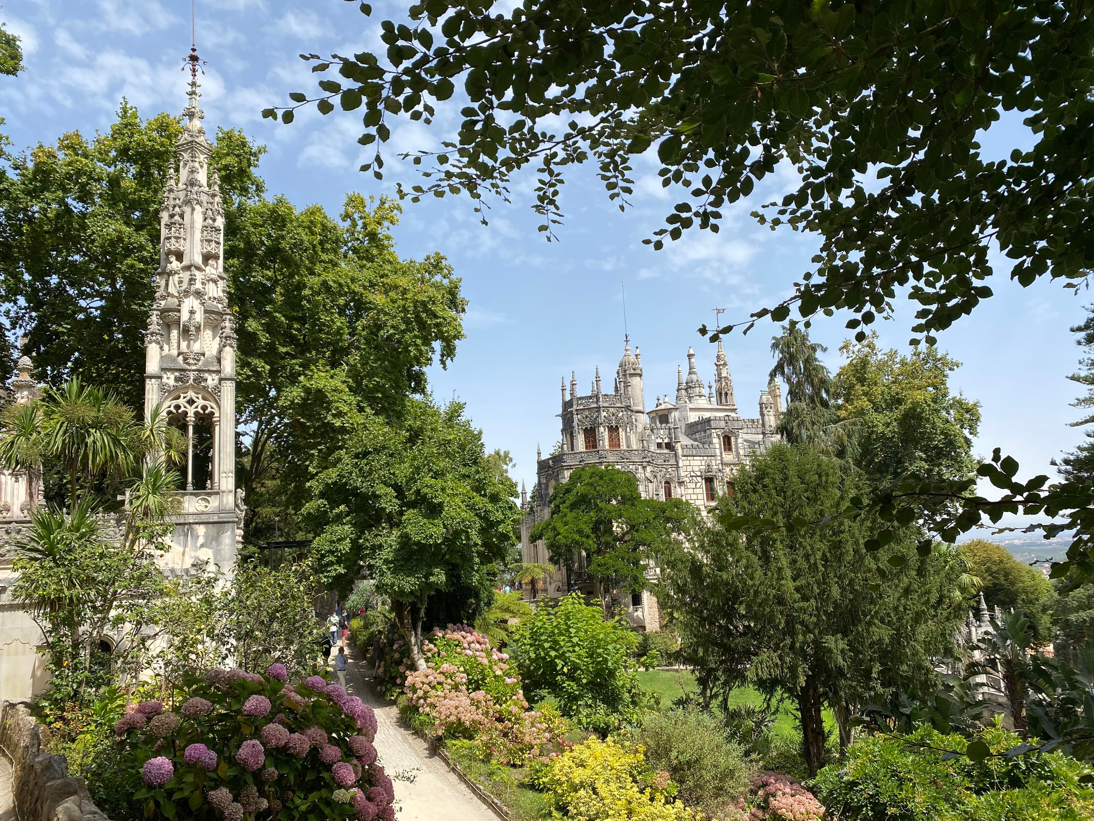 A park with foliage and concrete structures in the distance on a sunny day.