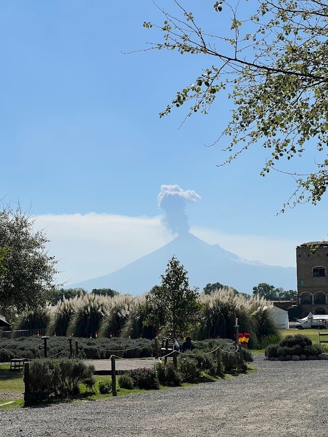 An image of a park during the day time with a mountain range in the distance.