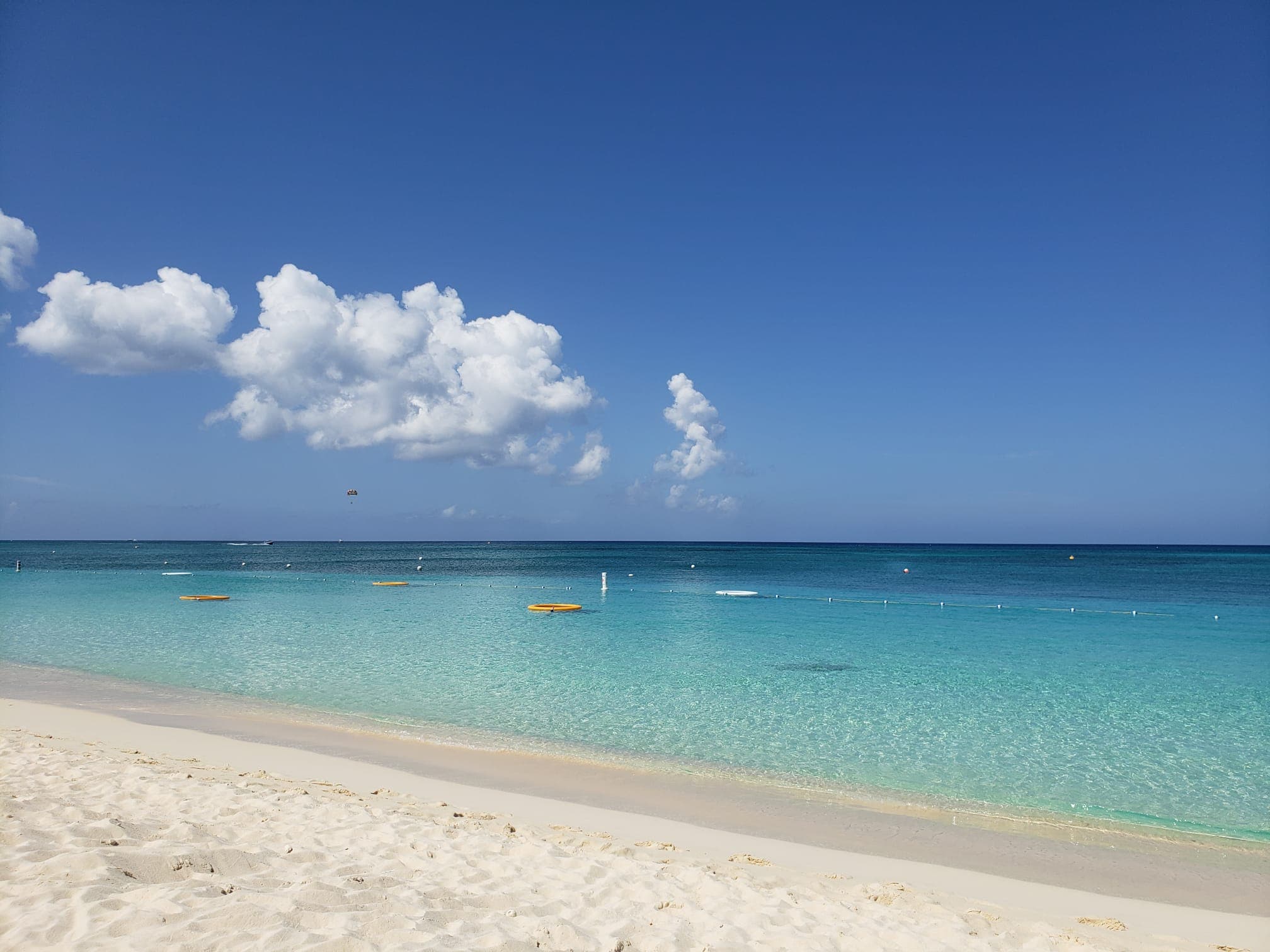 A beautiful beach with a sandy shoreline on a sunny day.