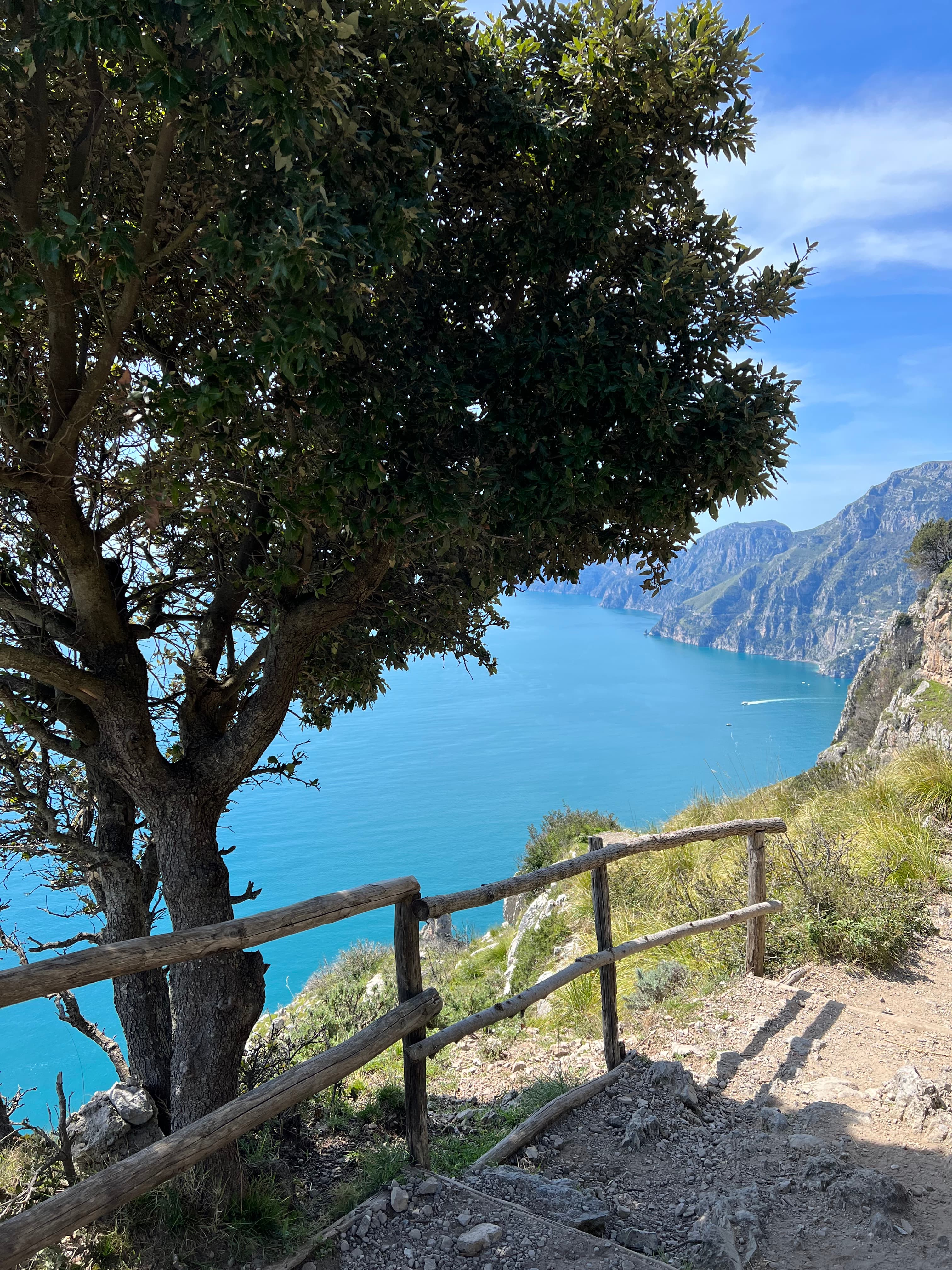 A view of a hiking path with treed and the ocean in the distance on a sunny day.