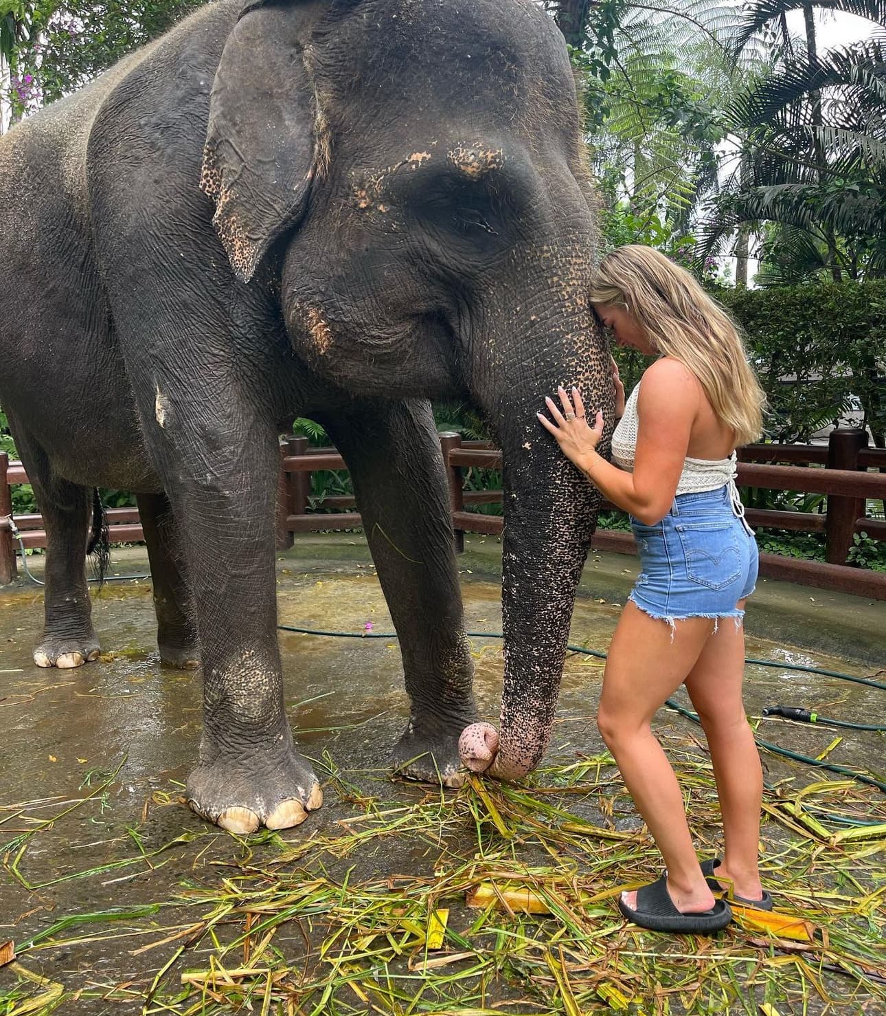 Advisor posing with an elephant at an elephant sanctuary.