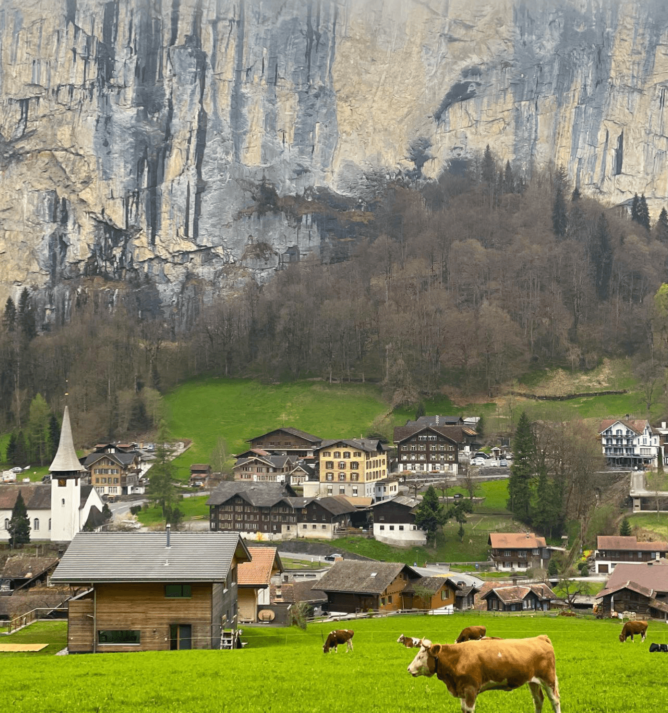 View of a brown cow standing in a green field with small buildings of a village and a steep mountain visible behind