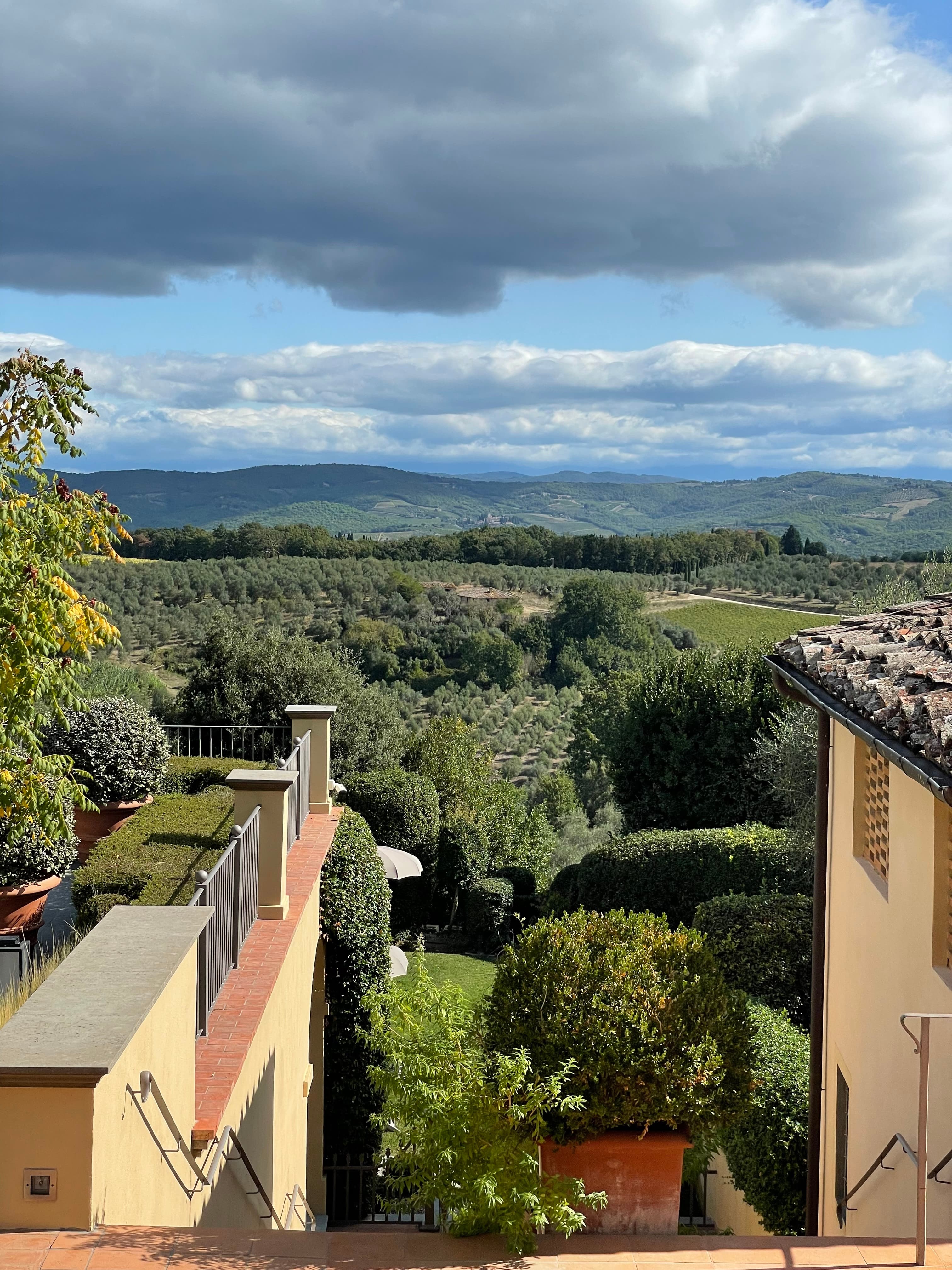 Aerial view of trees and skyline from the top of a building during the daytime.