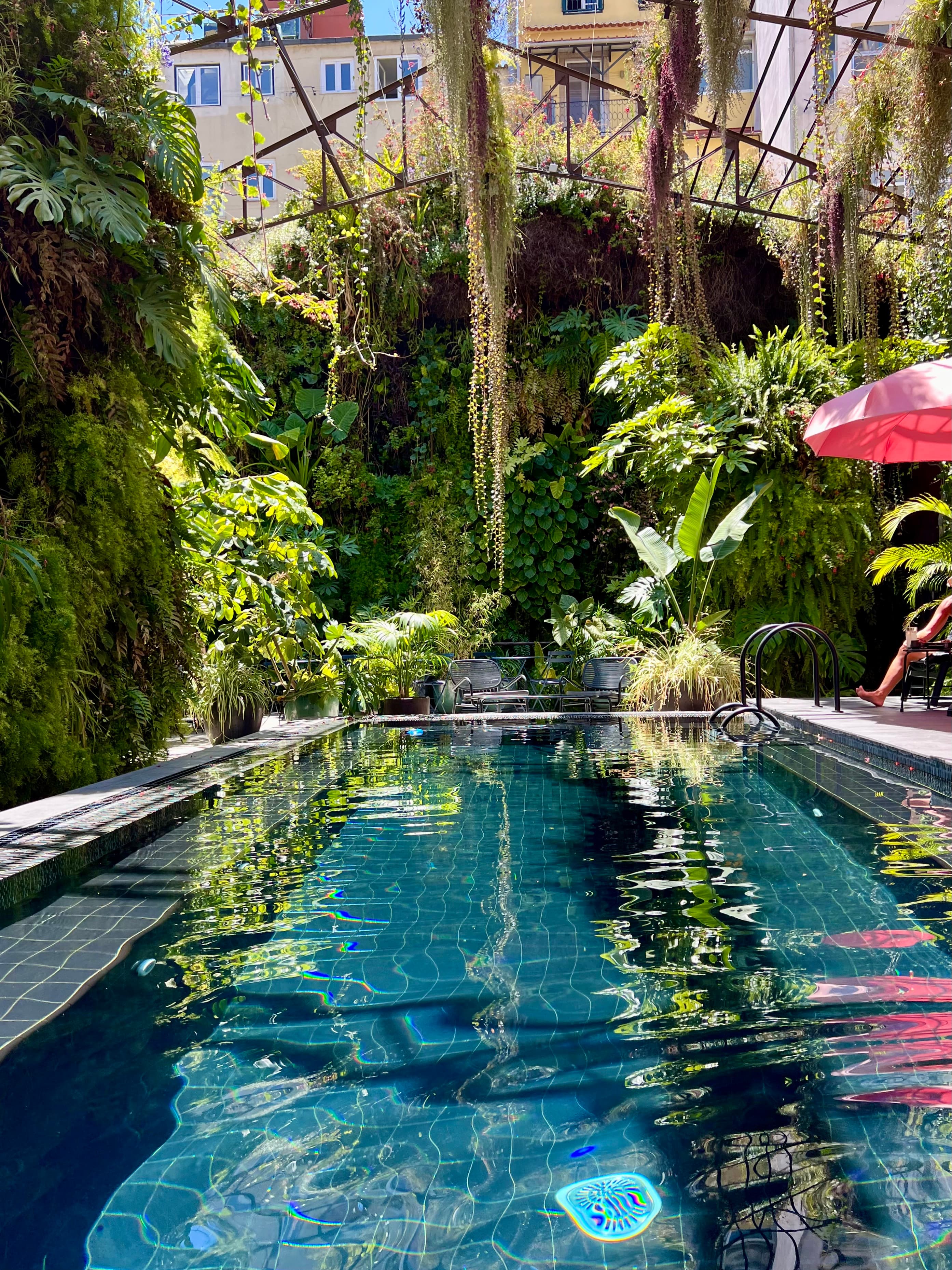 Pool surrounded by overhanging plants.