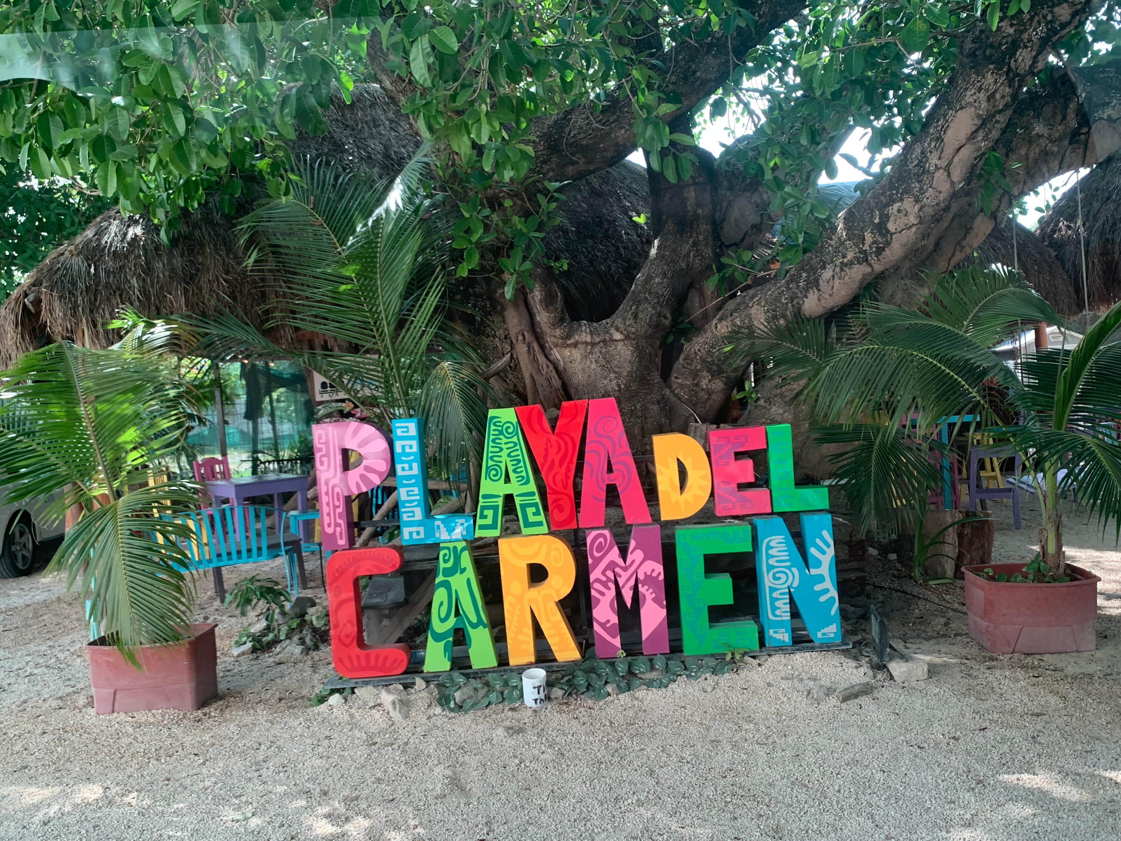 Colorful Playa del Carmen sign in front of a large green tree.