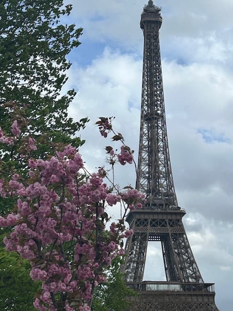The Eiffel Tower in Paris, surrounded by pink flowers.