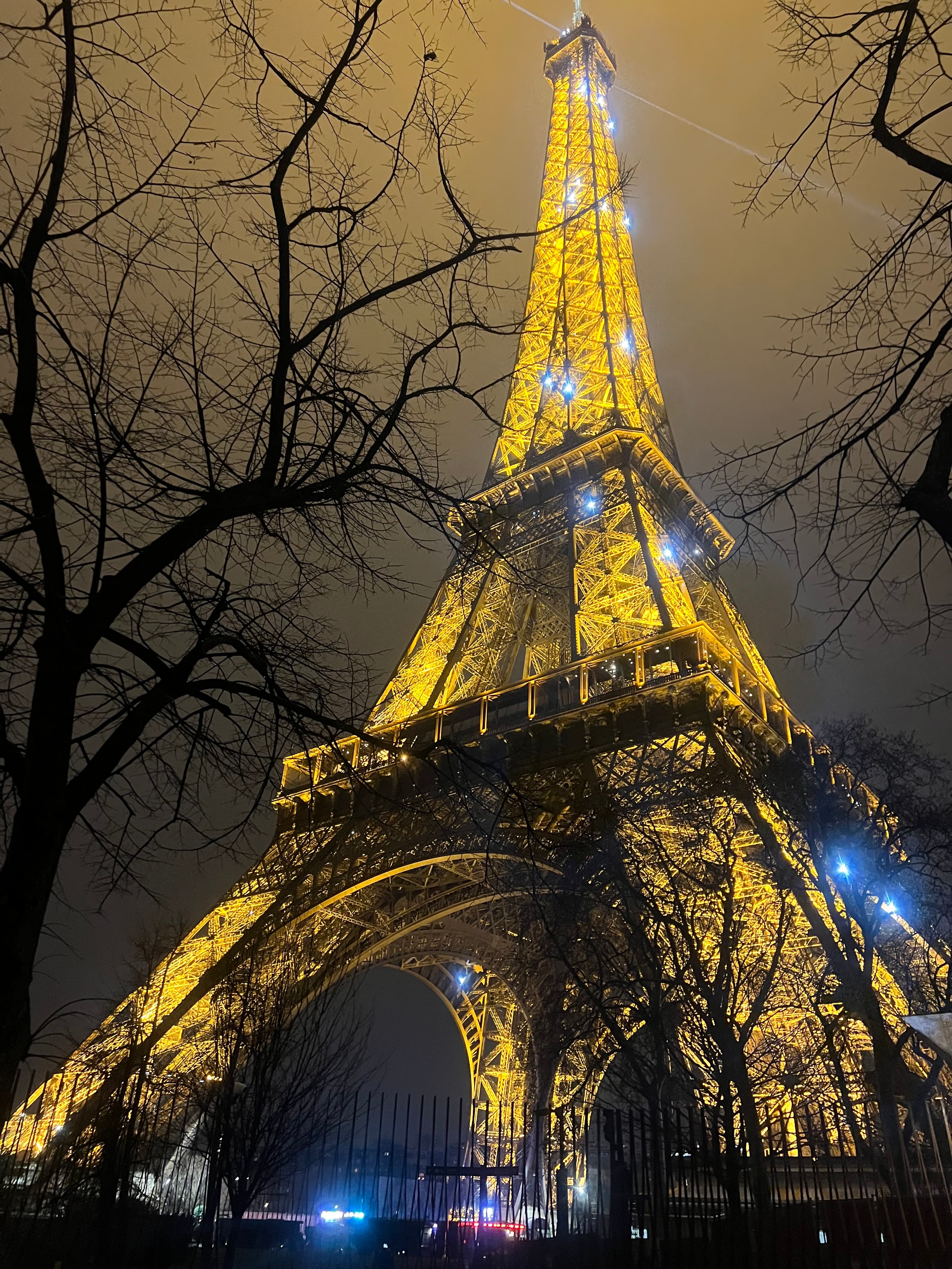 View of the Eiffel Tower lit up at night