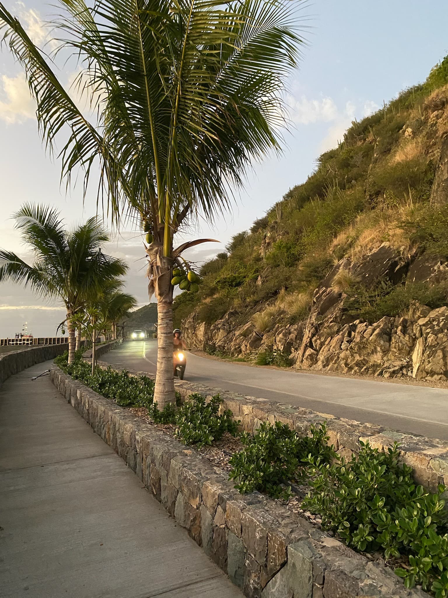 View of a pathway lined by plants and palm trees seen besides a road on a sunny evening