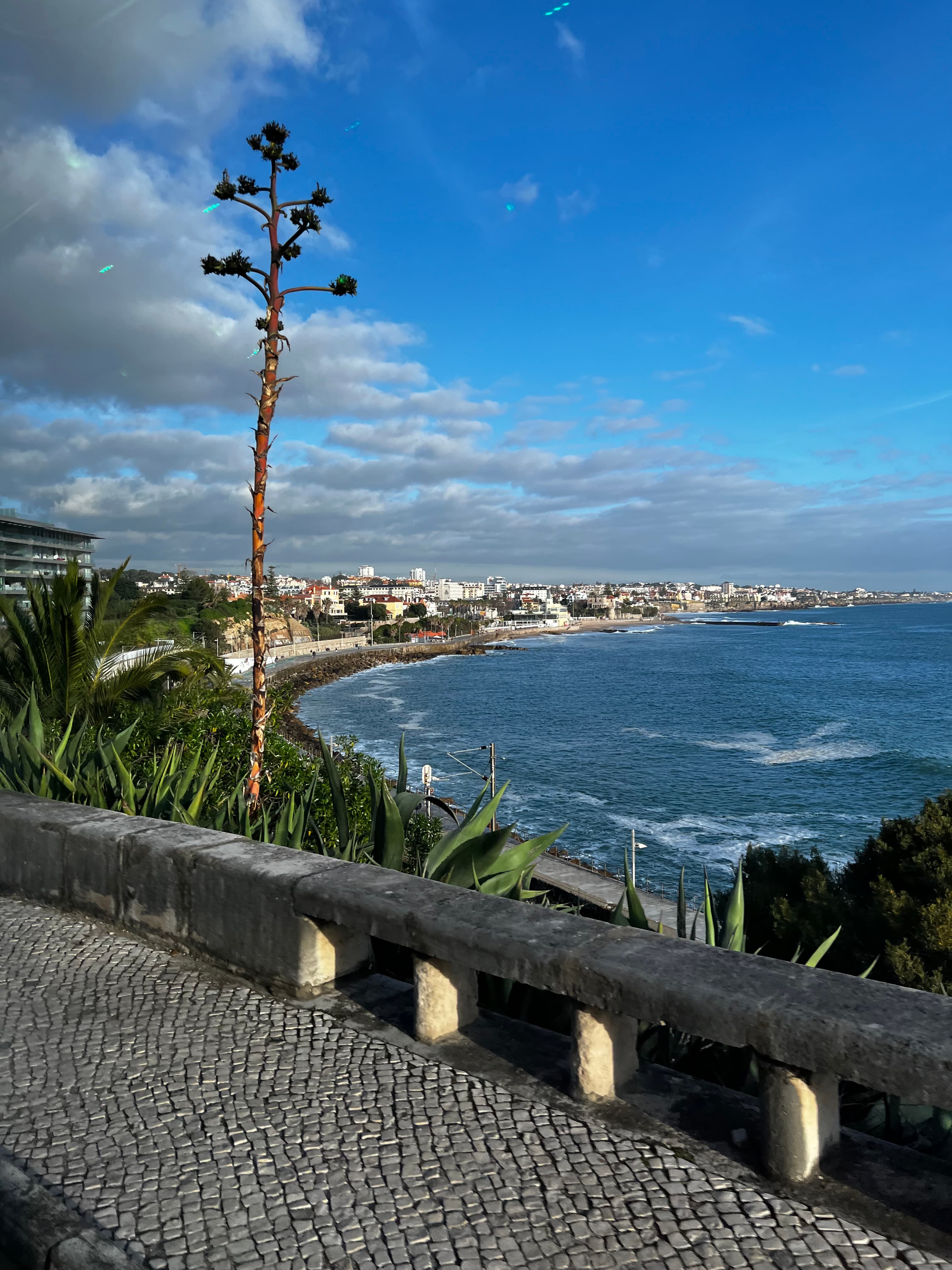 View from a lookout point of a beautiful stretch of coastline on a sunny afternoon
