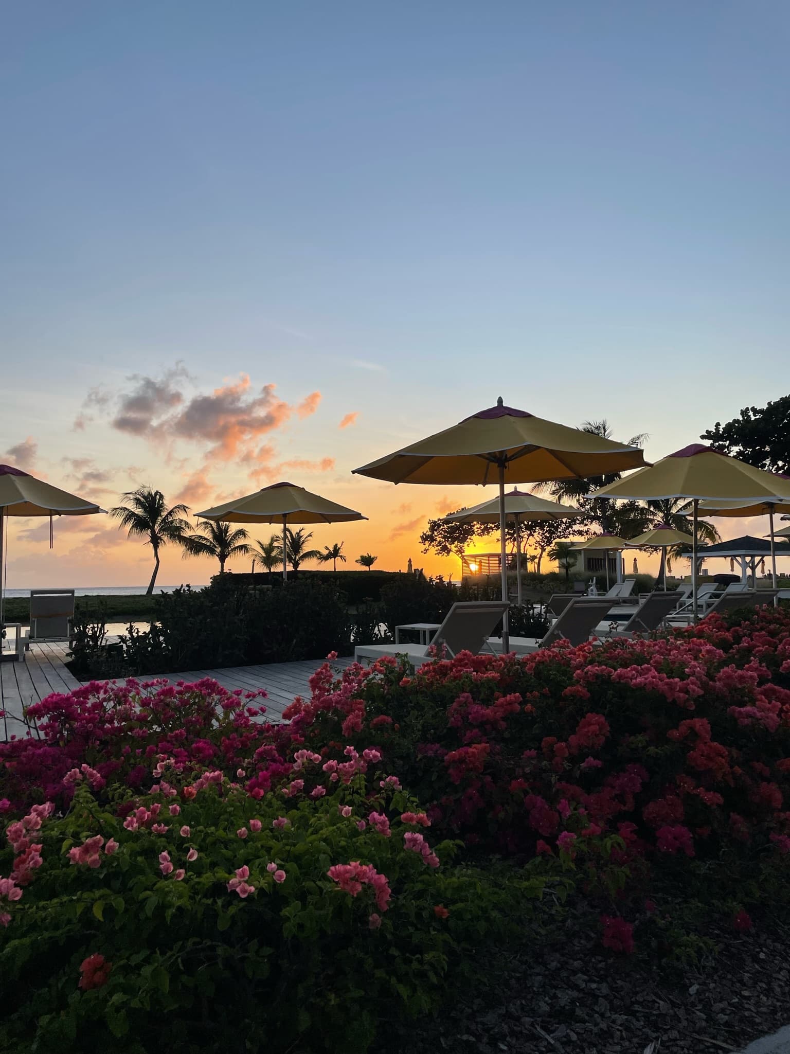 Beautiful view of a sunset seen behind umbrellas and flowering plants at a oceanside resort