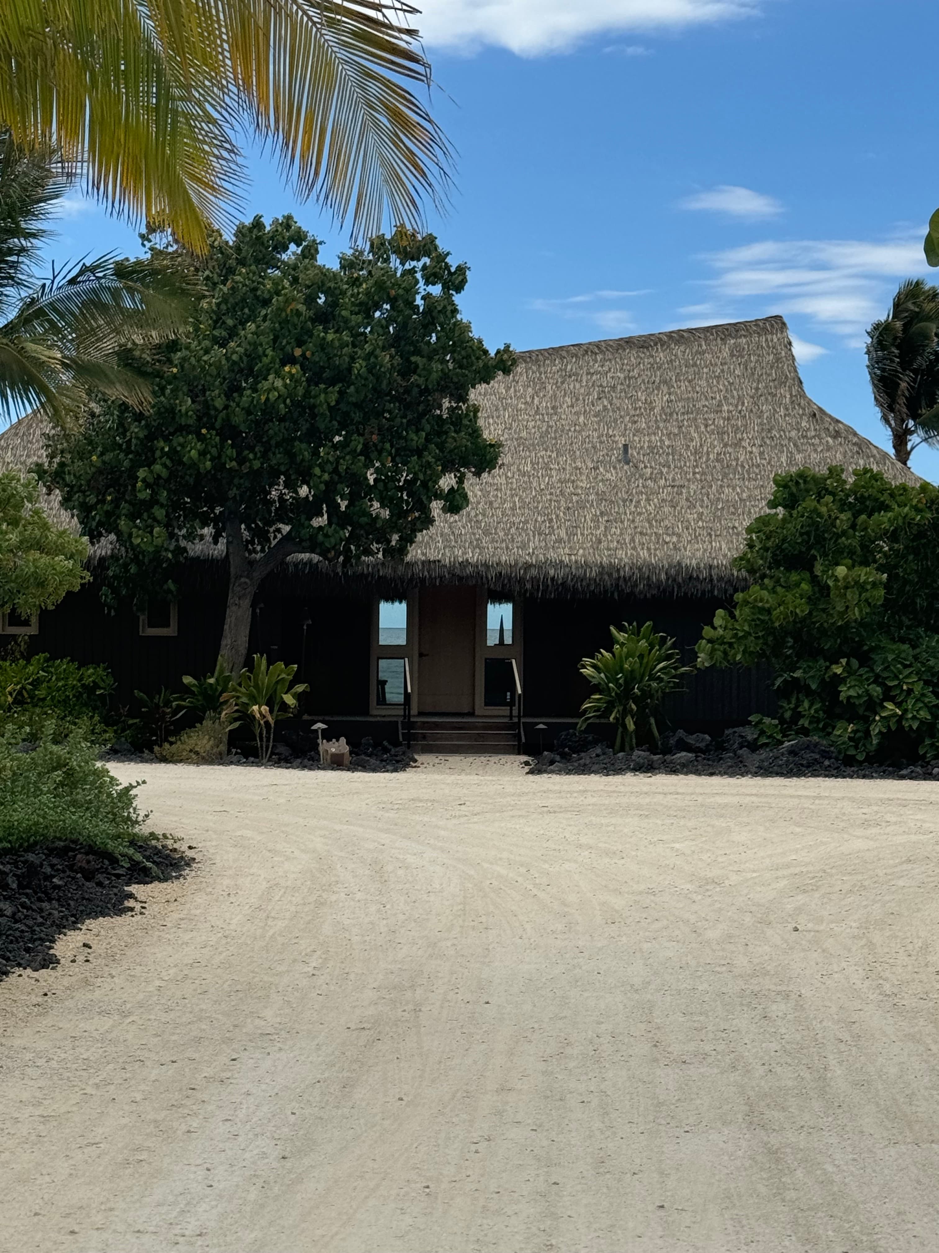 A dirt road leading to a thatched-roof building and nearby trees on a sunny day