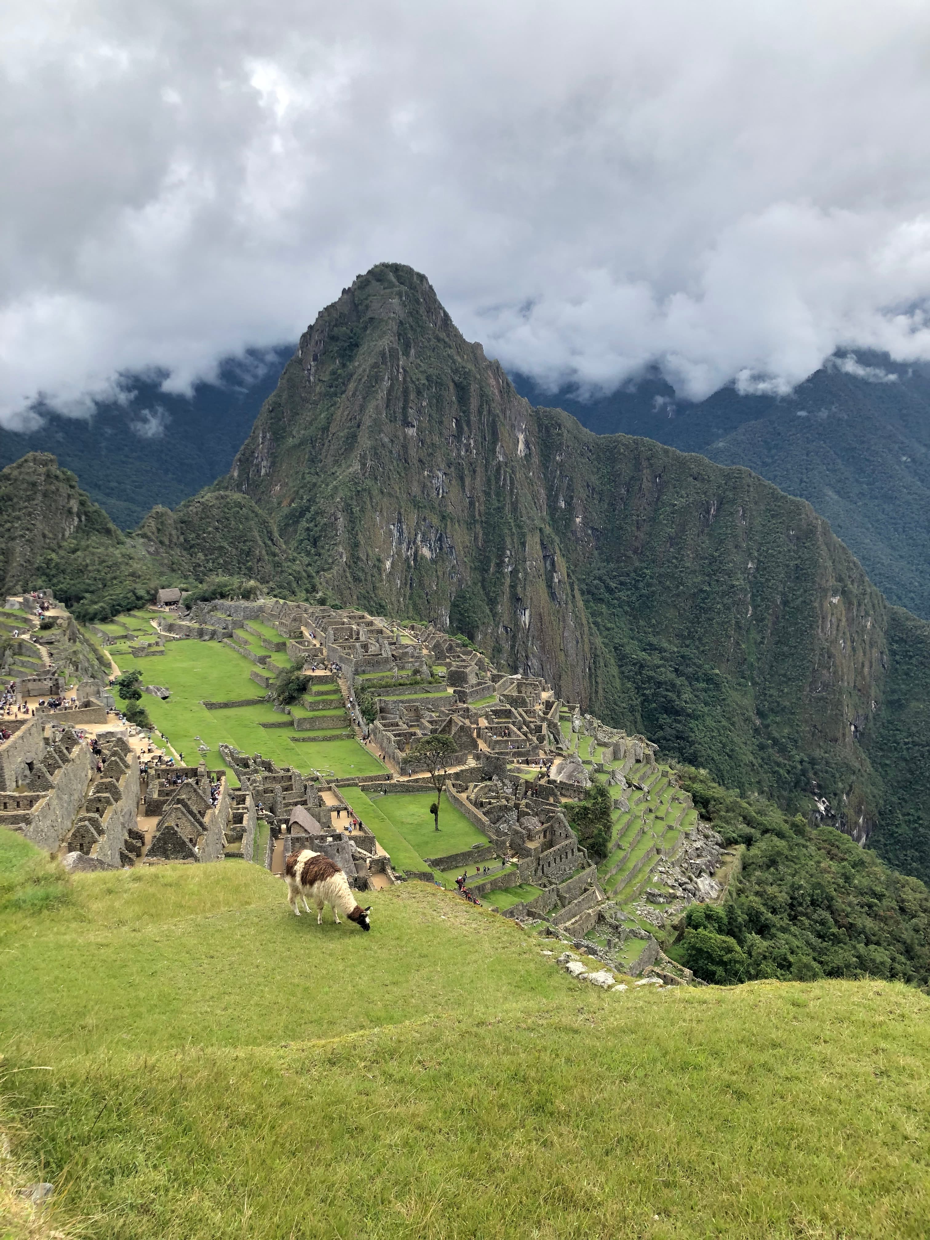 View of the Machu Pichu ruins in lush greens surroundings on a cloudy day