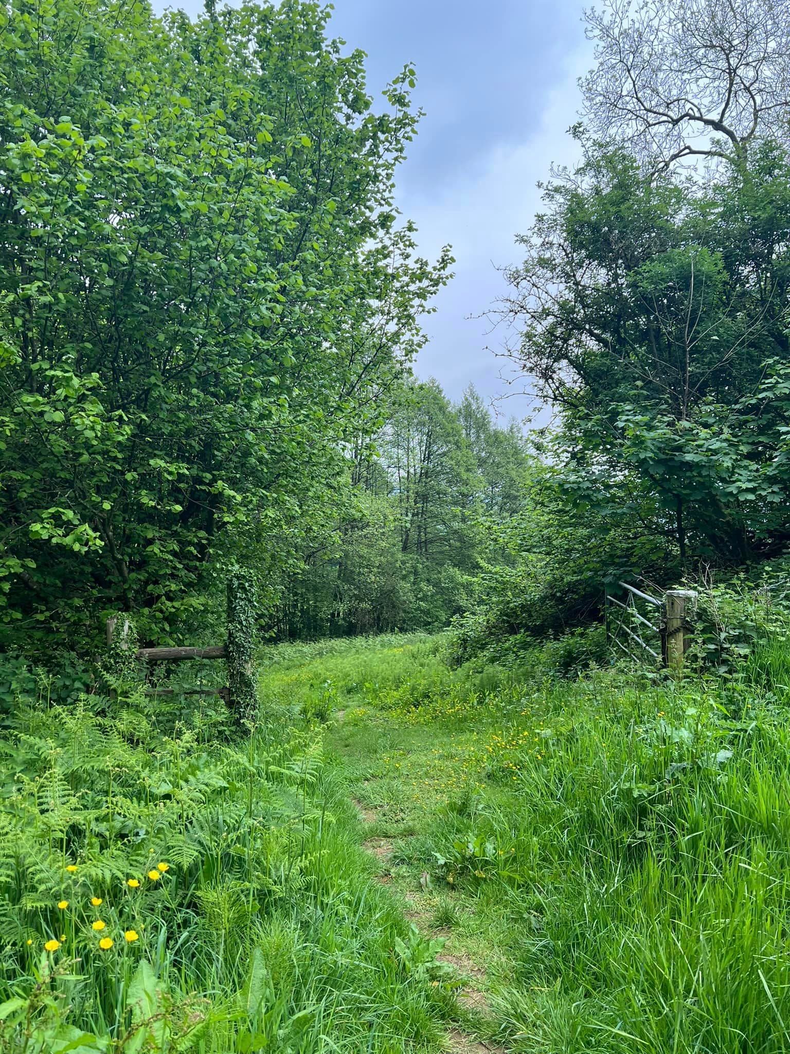 Nature during the daytime.